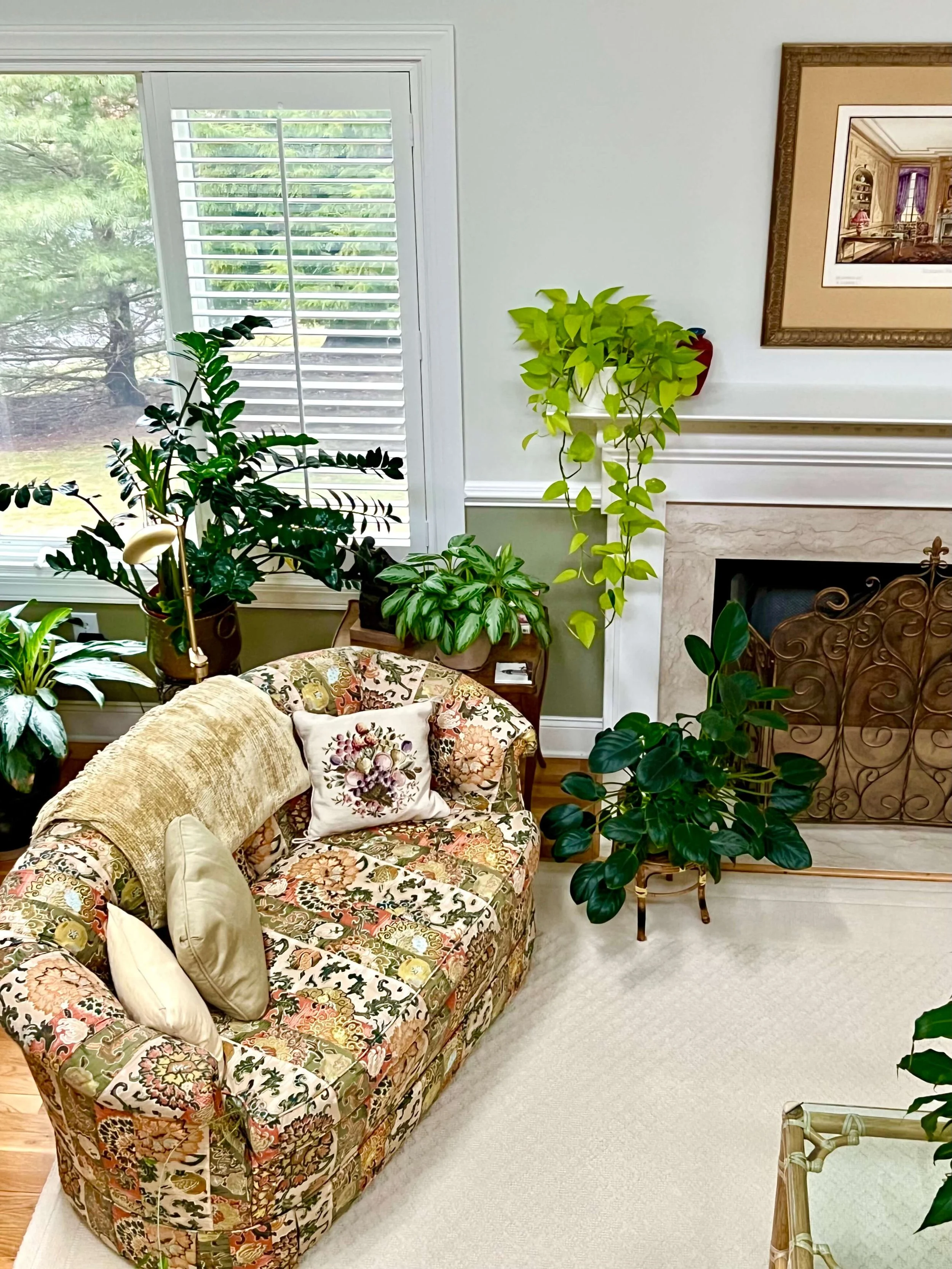loveseat surrounded by plants in a Brookline MA residence