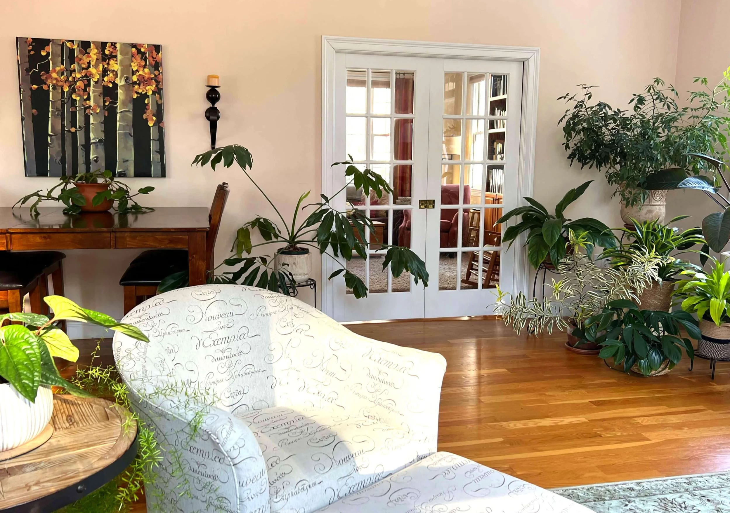 cozy reading nook surrounded by houseplants