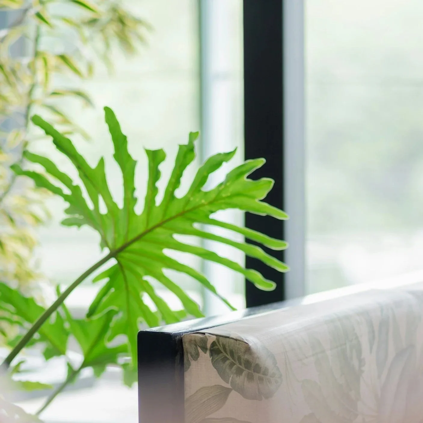 Biophilic Design Improves Health &amp; Wellness