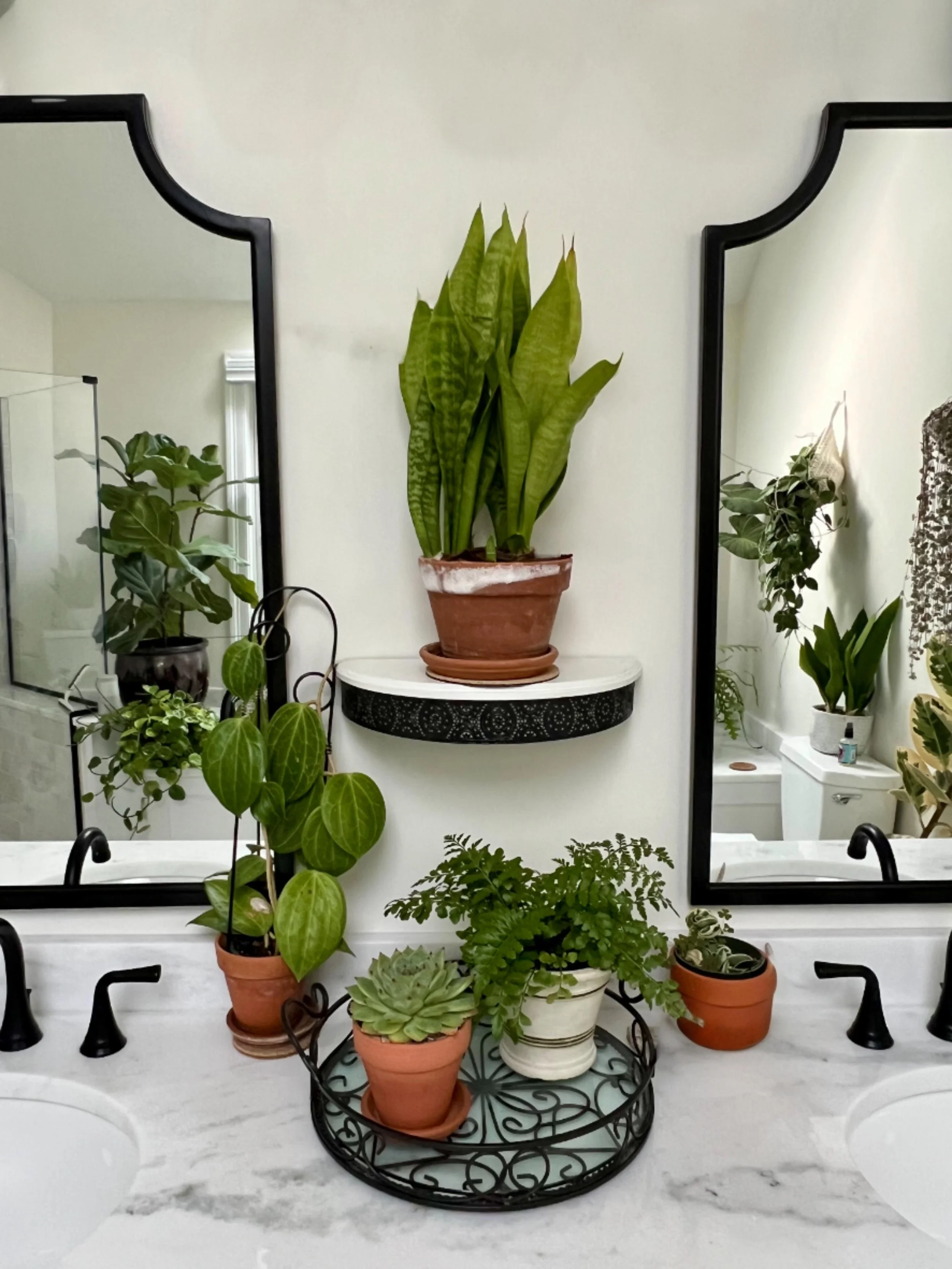styling plants in a sunny bathroom