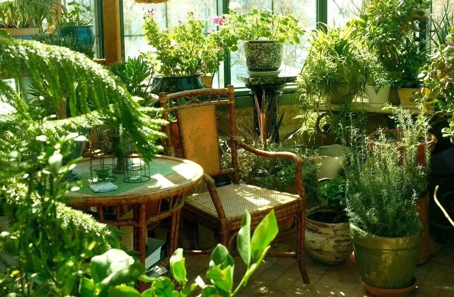 indoor sitting nook surrounded by plants