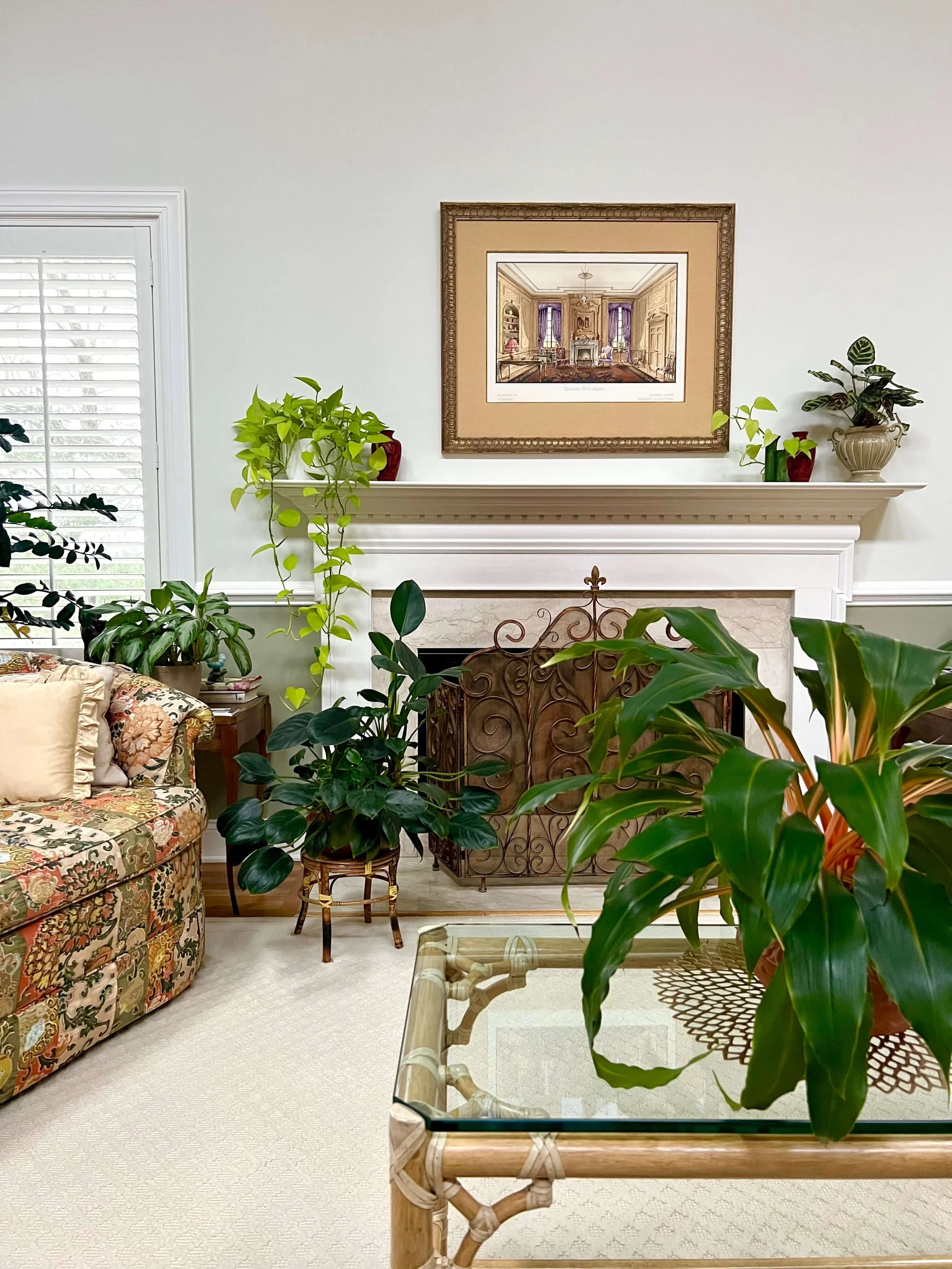 an indoor plantscape that matches the colors of the living room in Brookline, MA