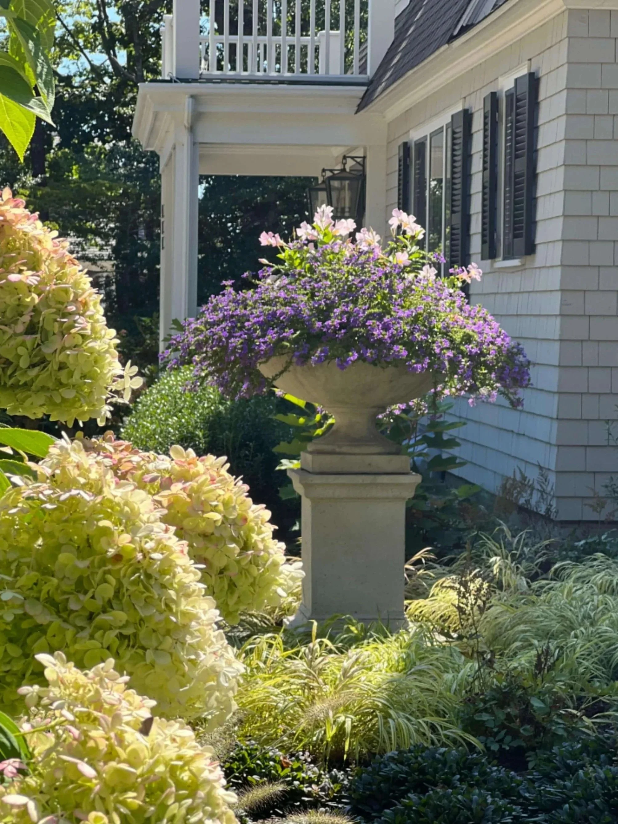 concrete entry urn with purple scaevola and pink dipladenia