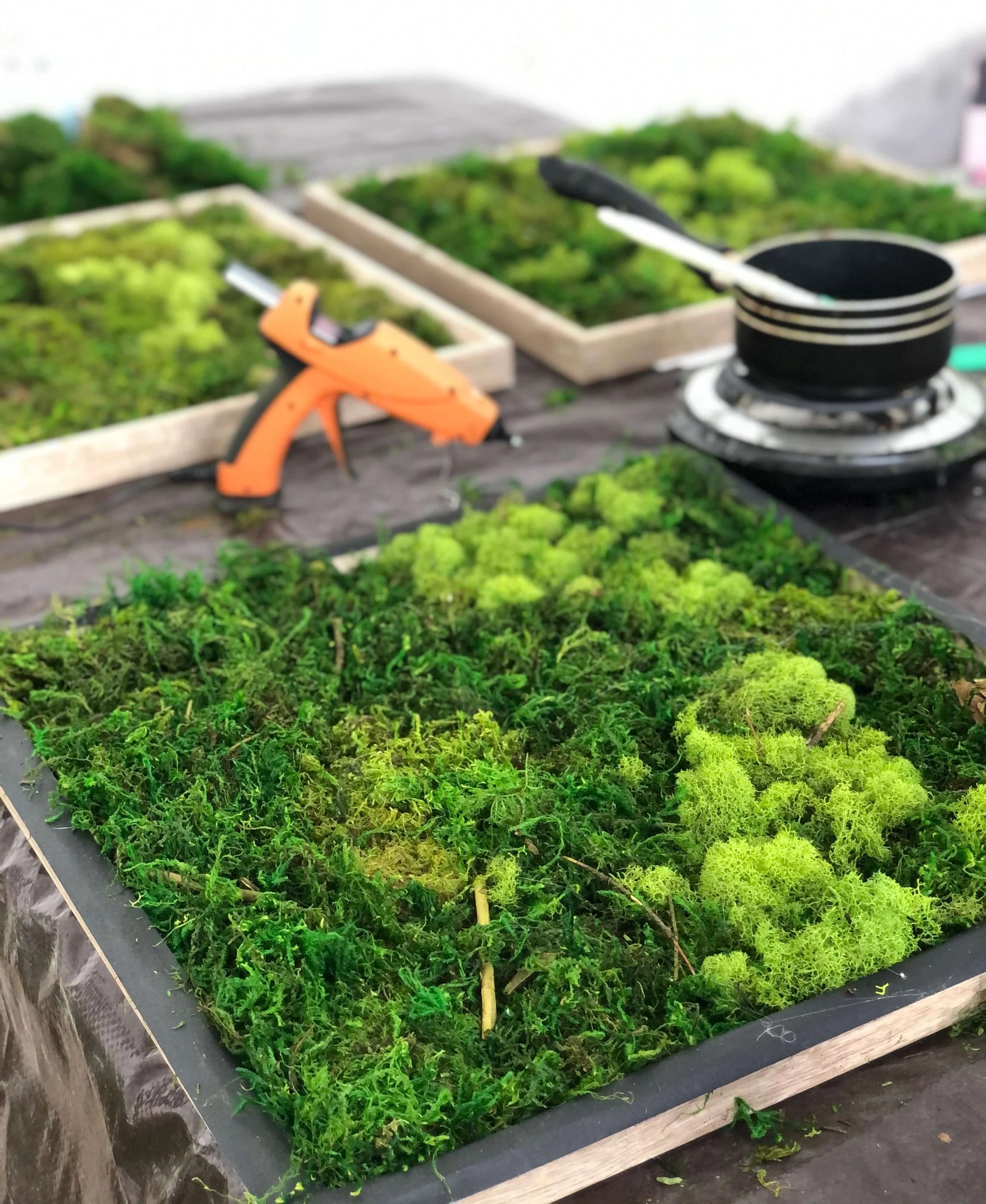 creating moss art with preserved moss and twigs