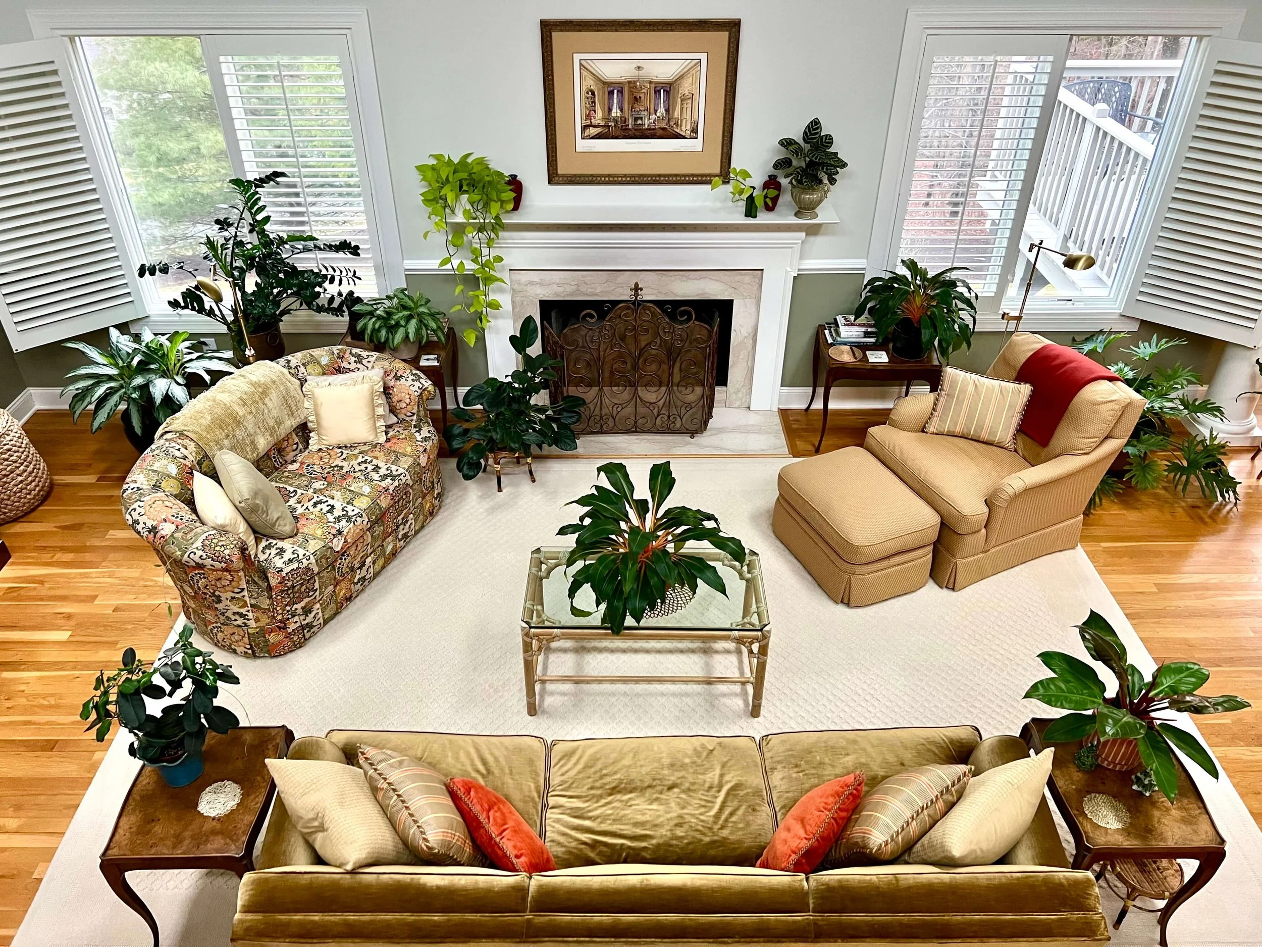 plant palette color-echo with living room fabrics in Brookline MA