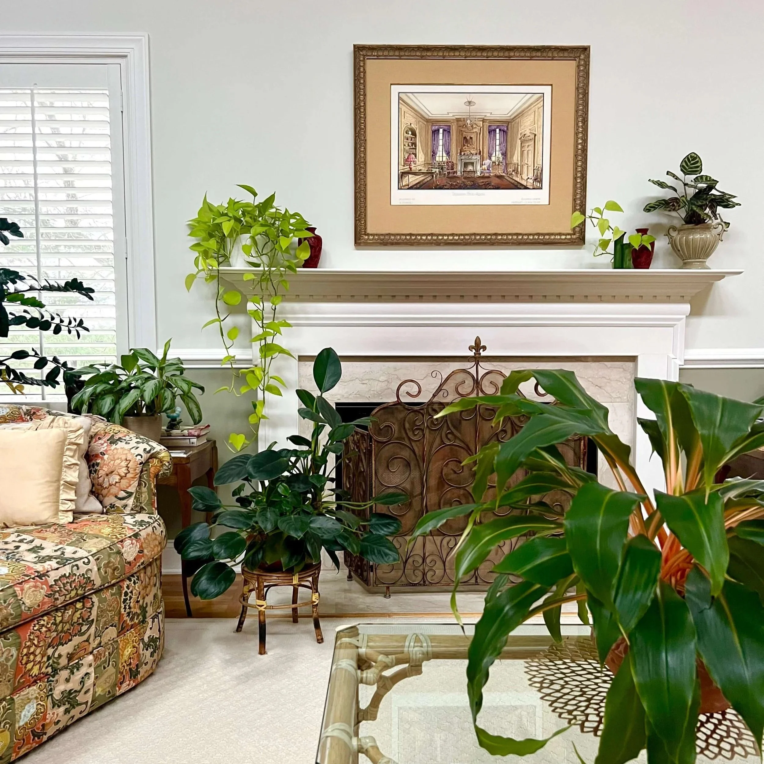 Demeter Project - When Your Plants Match Your Decor