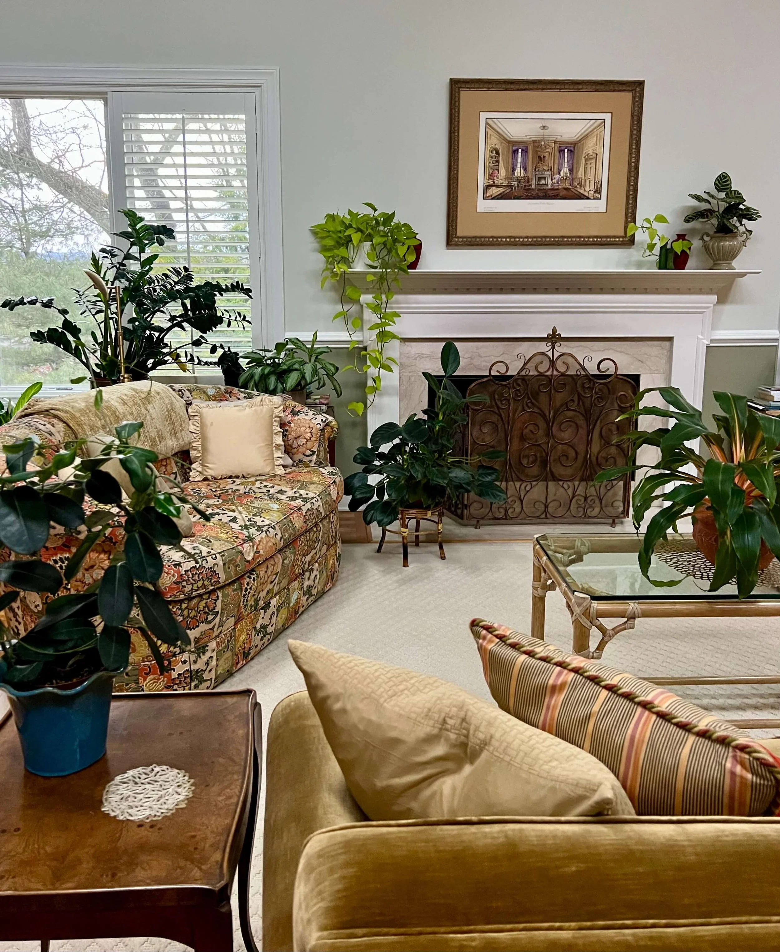 an interior planting that coordinates with this Brookline, MA living room