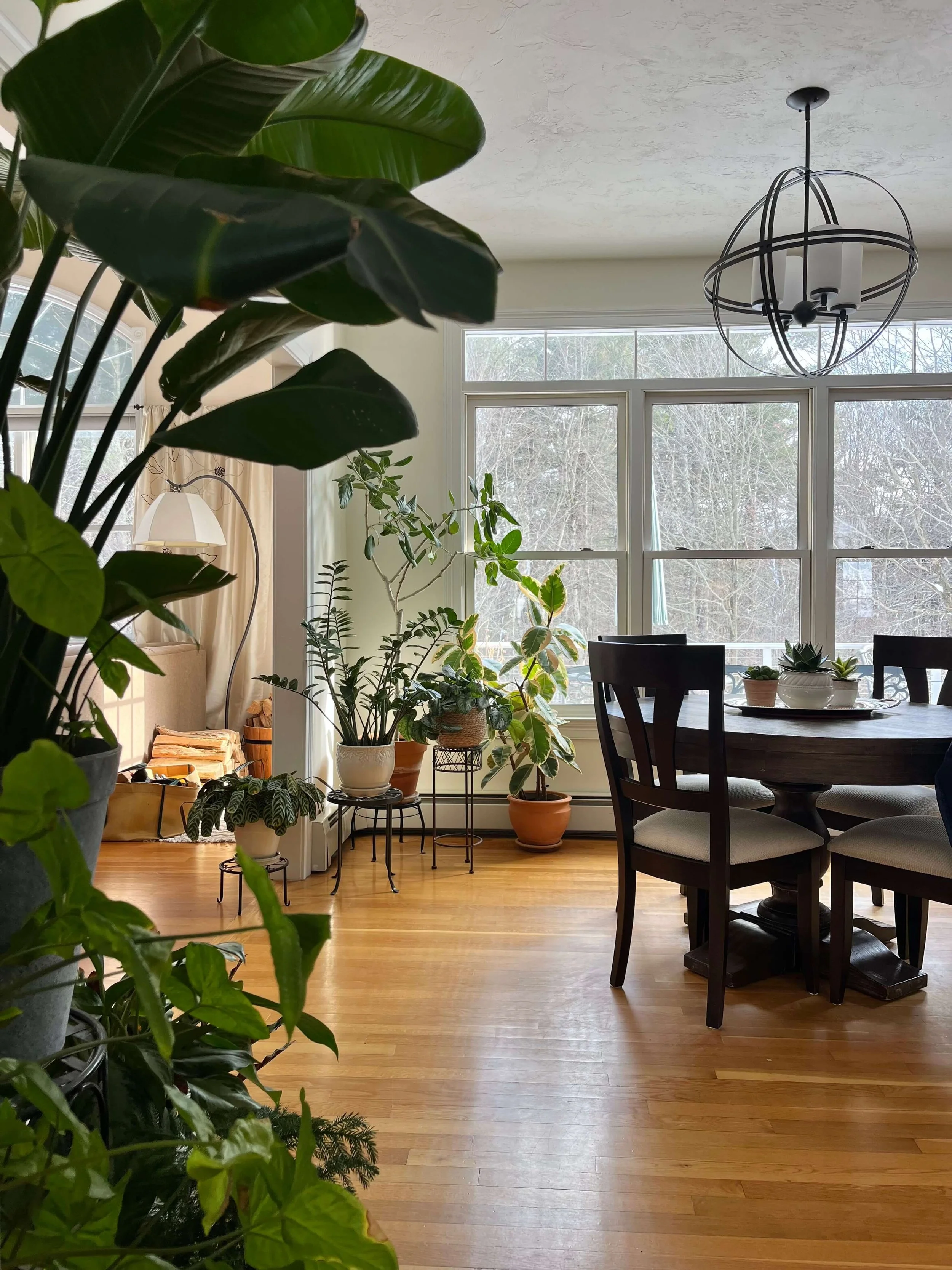 dining area framed with plants