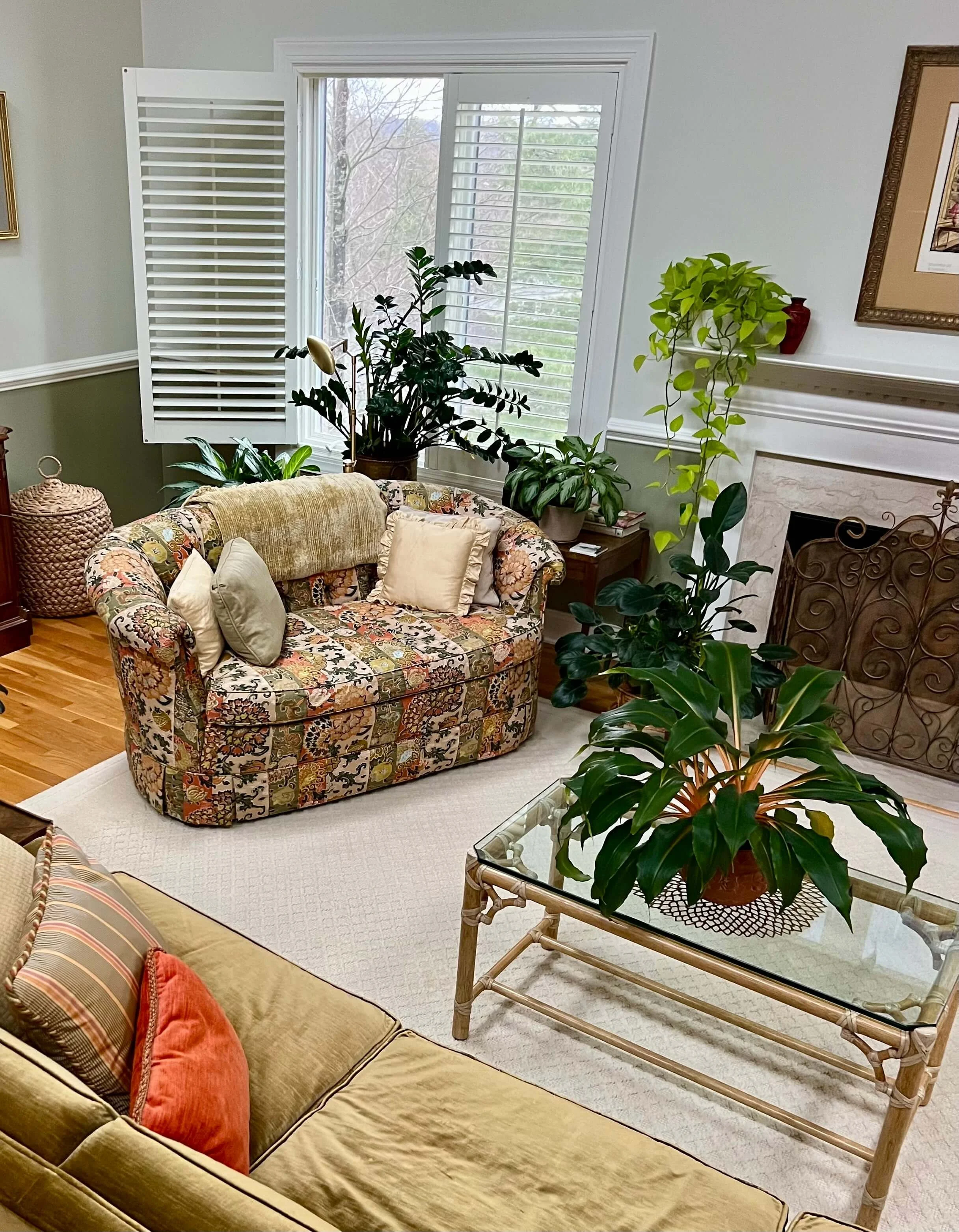 harmonizing your plant colors with your furniture in Brookline MA