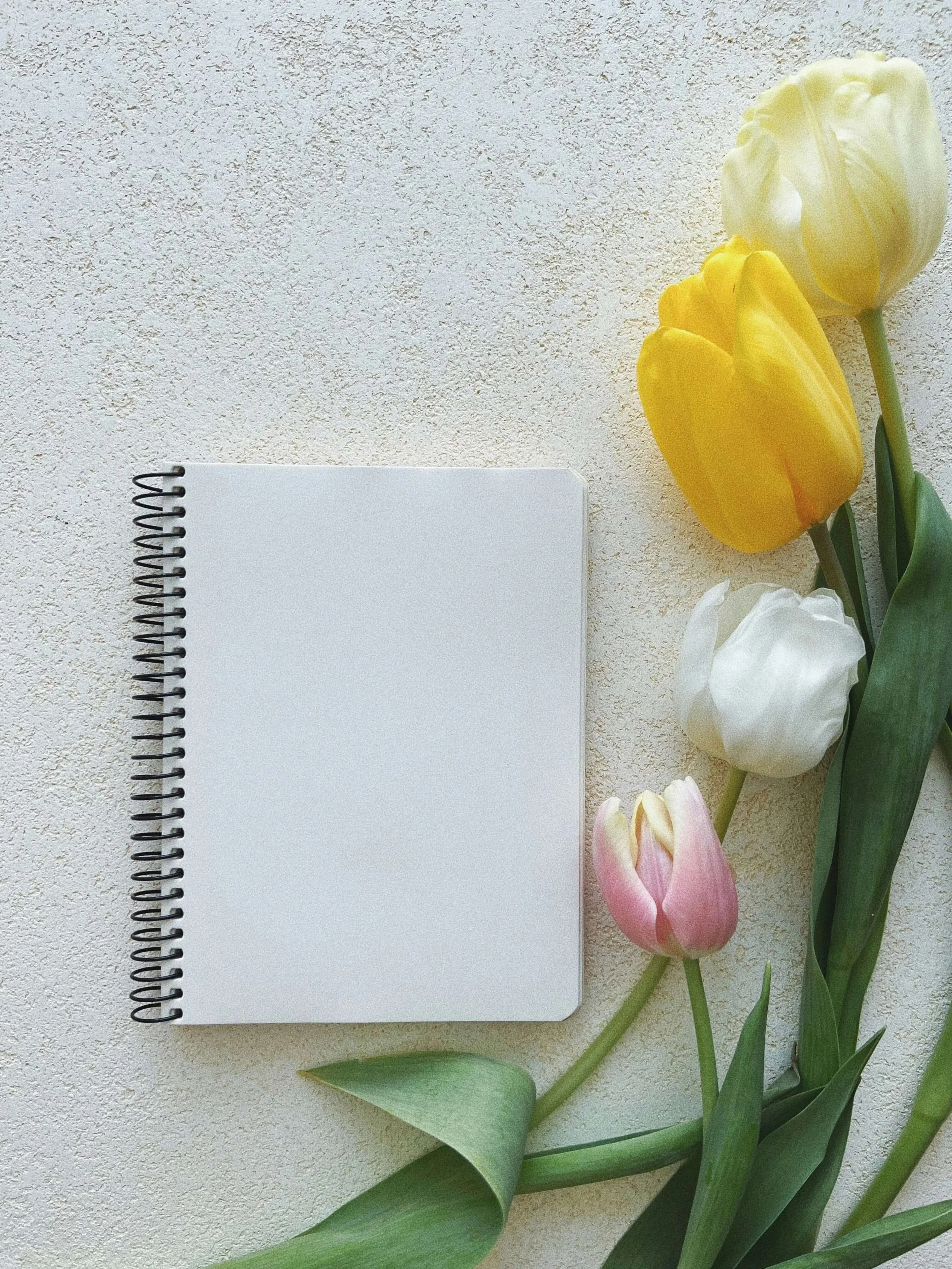 design notebook with tulips