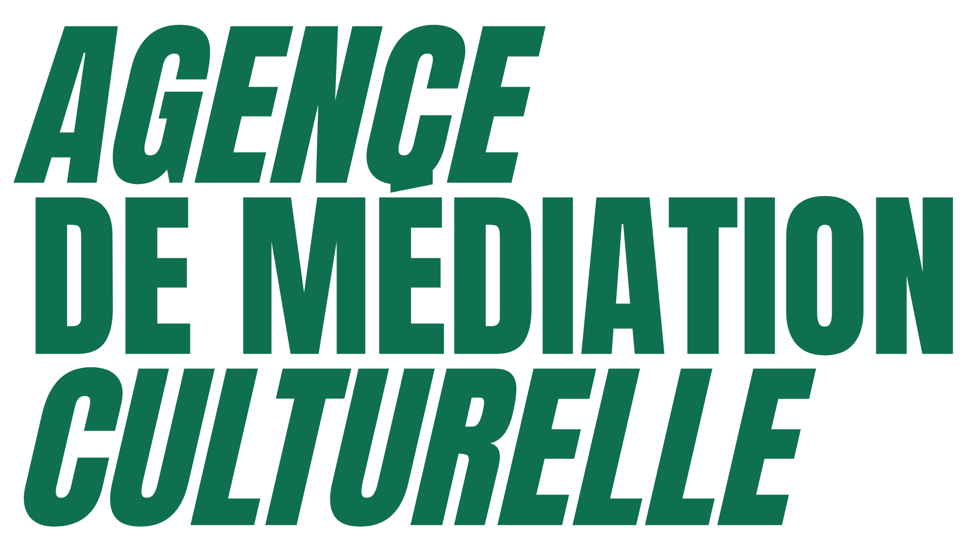 Texte en français : "Agence de Médiation Culturelle" en lettres grandes et vert foncé sur fond noir.