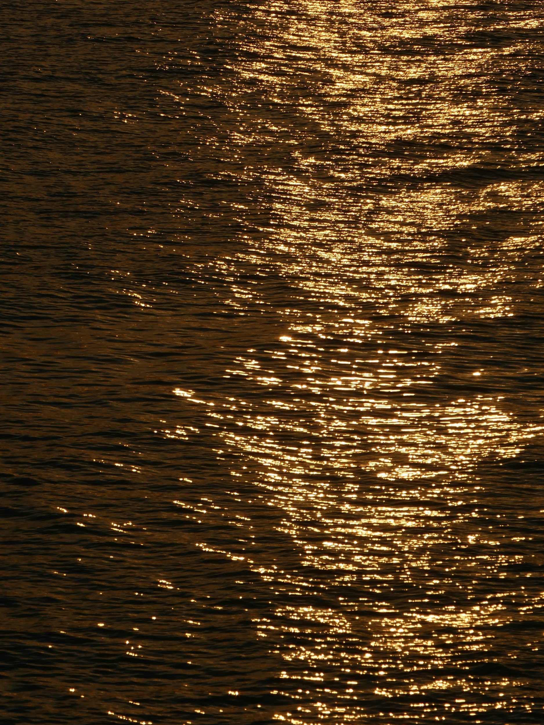 The image shows a body of water, likely a lake or ocean, with the sunlight reflecting on the surface creating shimmering golden highlights.