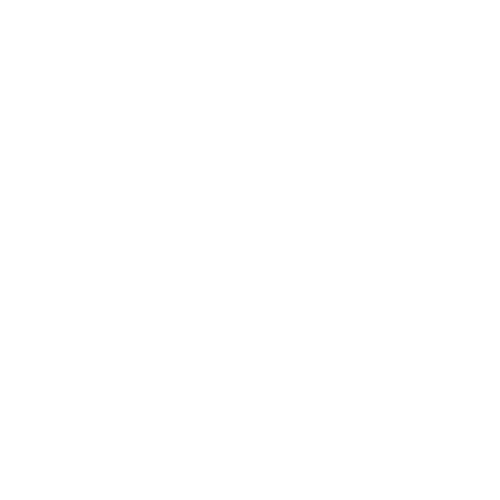 Icon of two documents with a shield and checkmark representing security or protection.