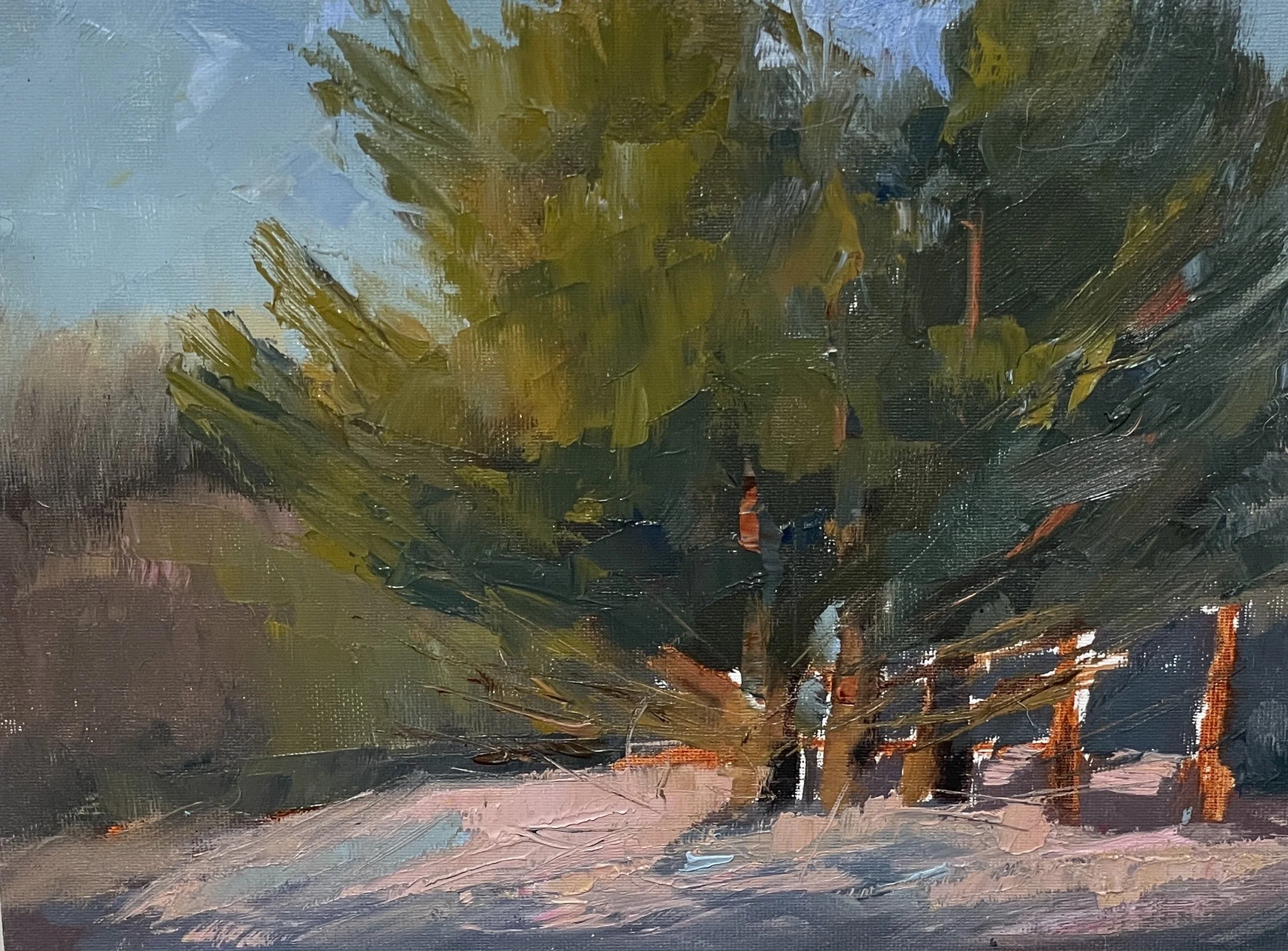 Peaceful Pines-Oil-8x10 $295
