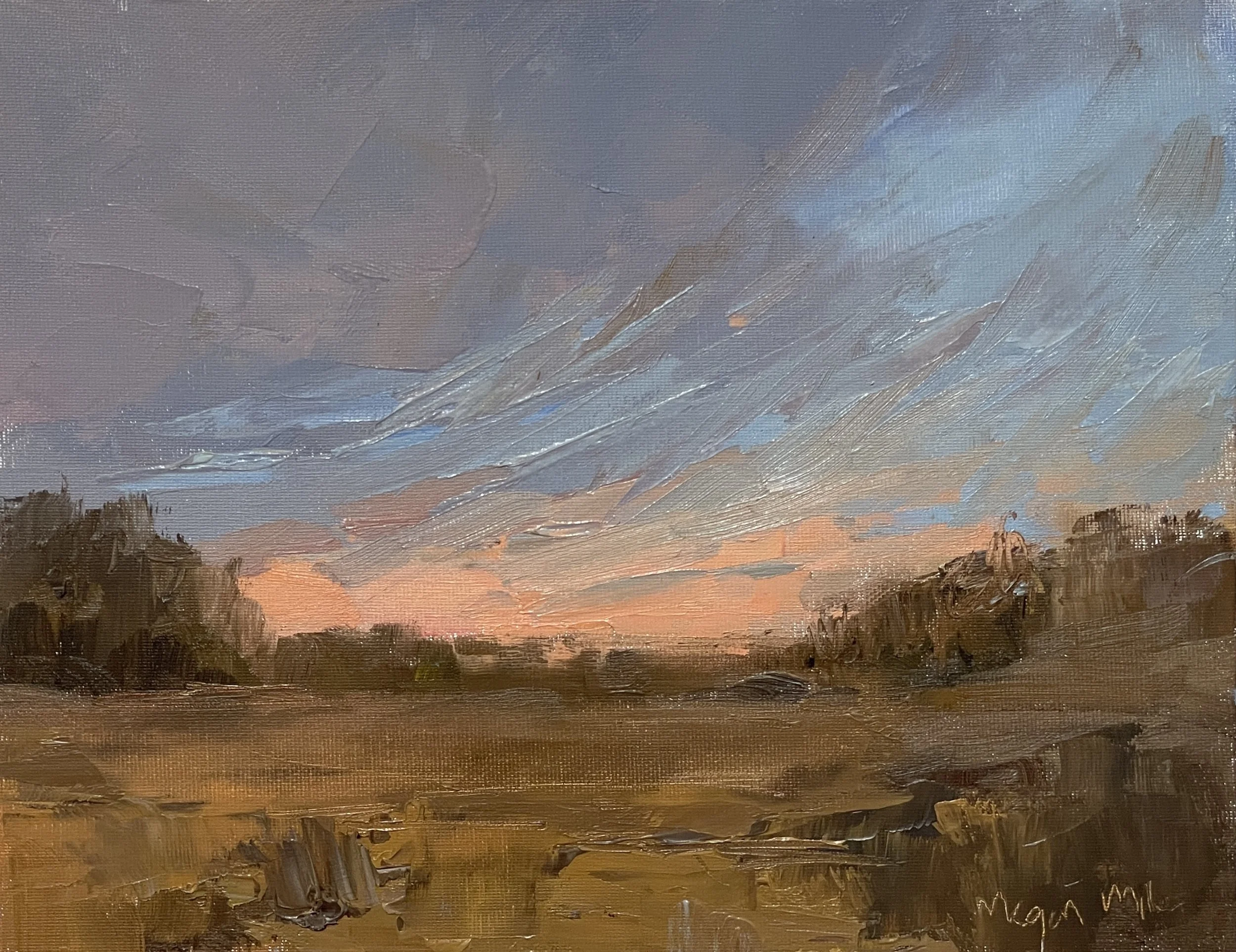 Clouds Coming-Oil 8x10 $295