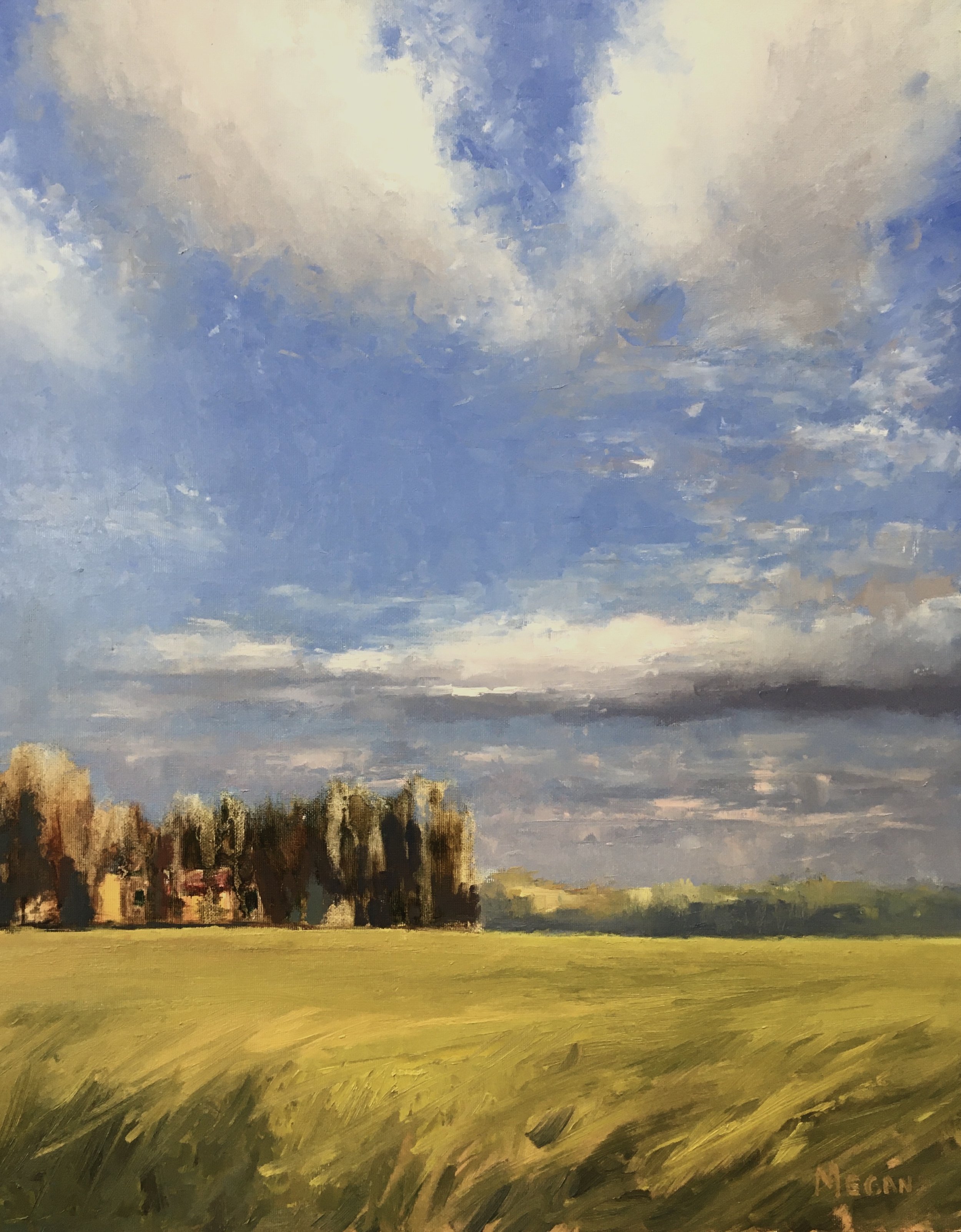 Field for Now 16x20 SOLD