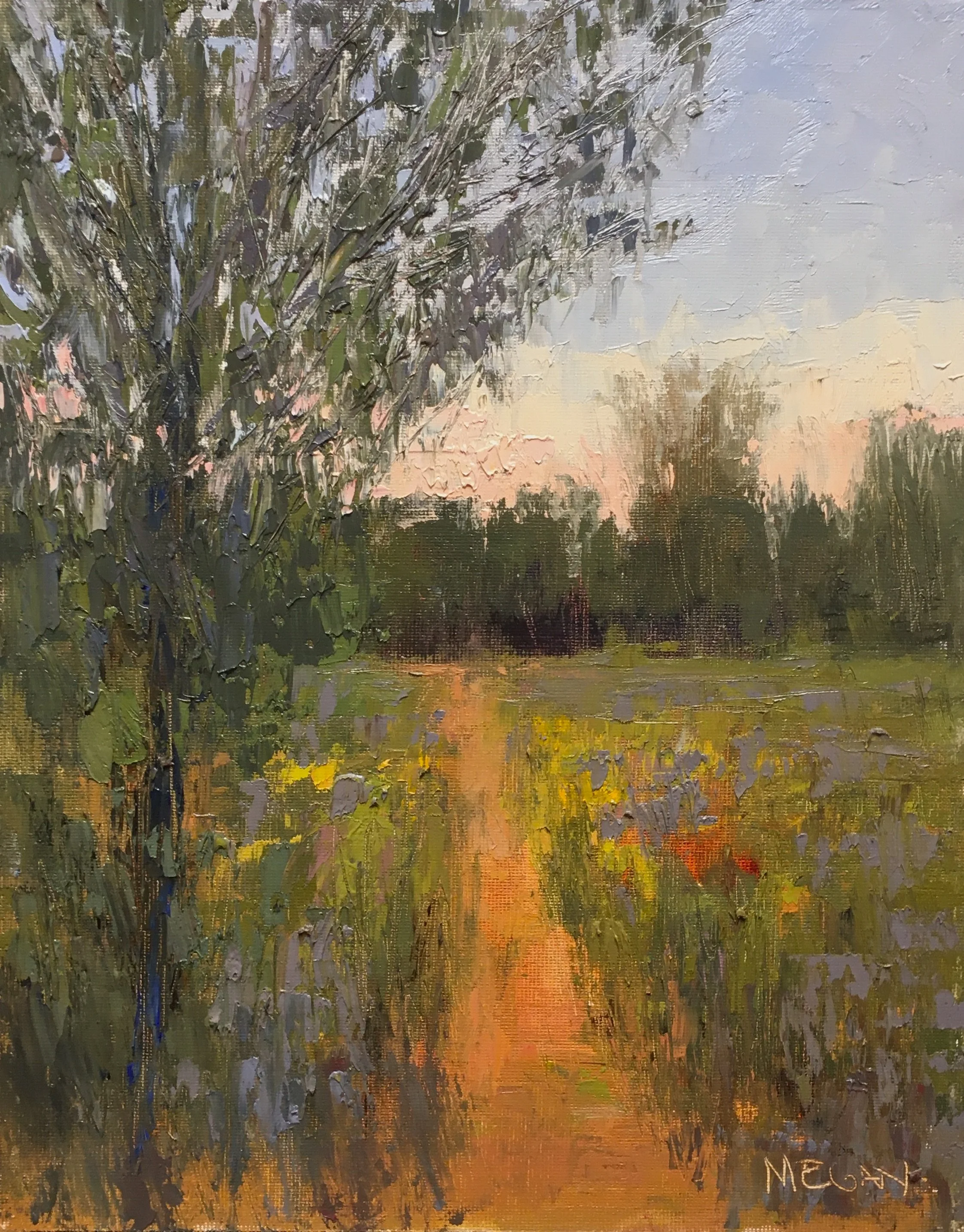 Marine on St. Croix- Land Trust Event-SOLD