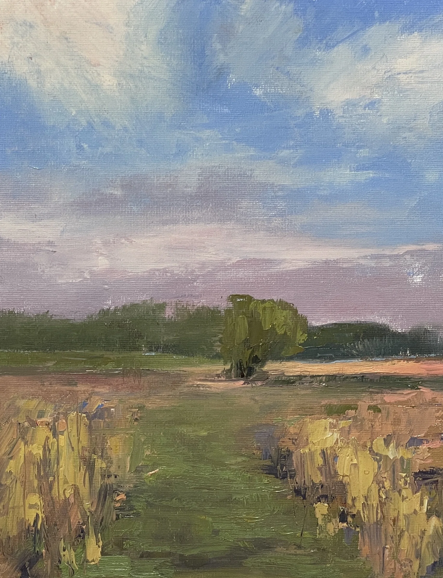 Summer Field-Oil 8x10 $295