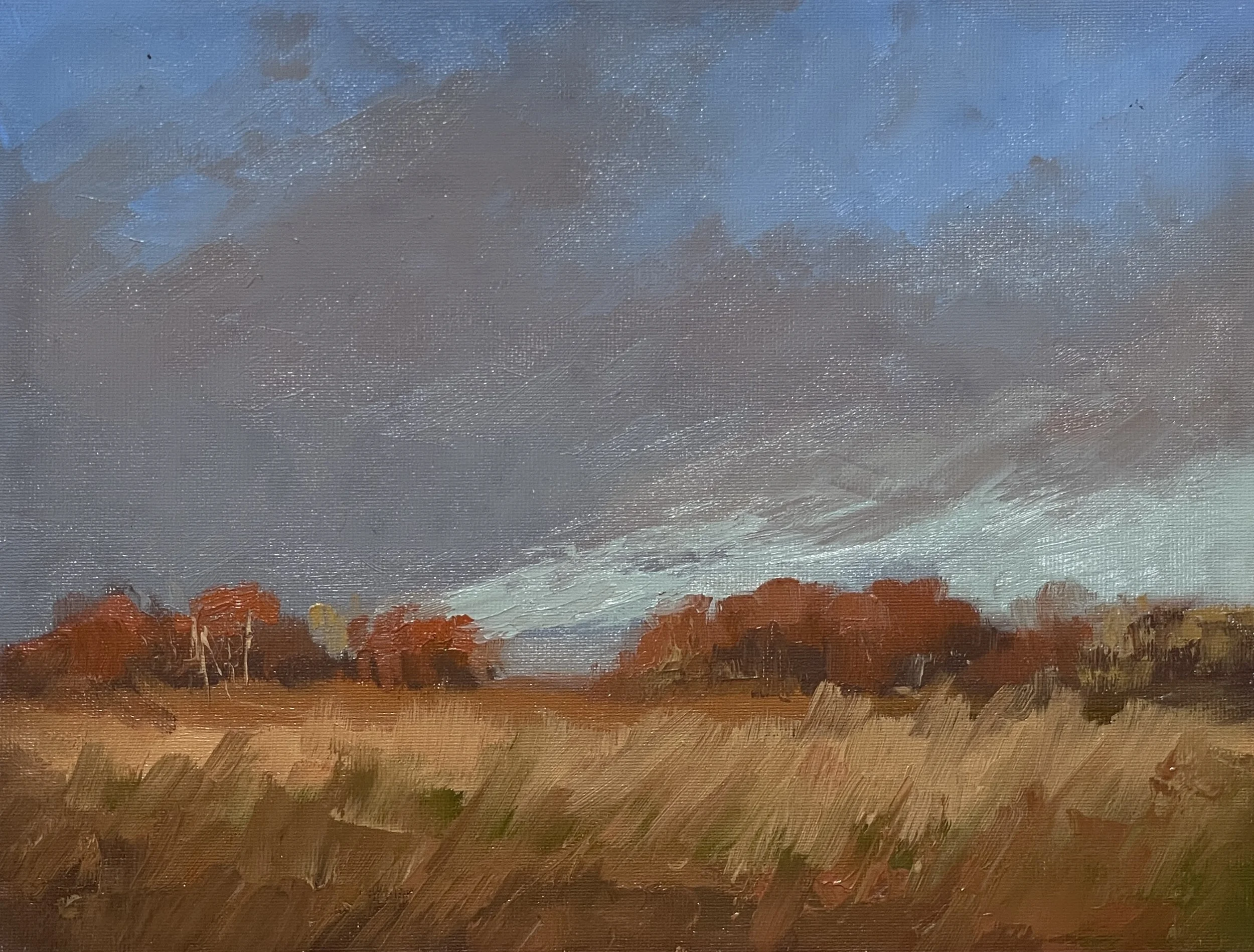 Fall Field-Oil 8x10 $295