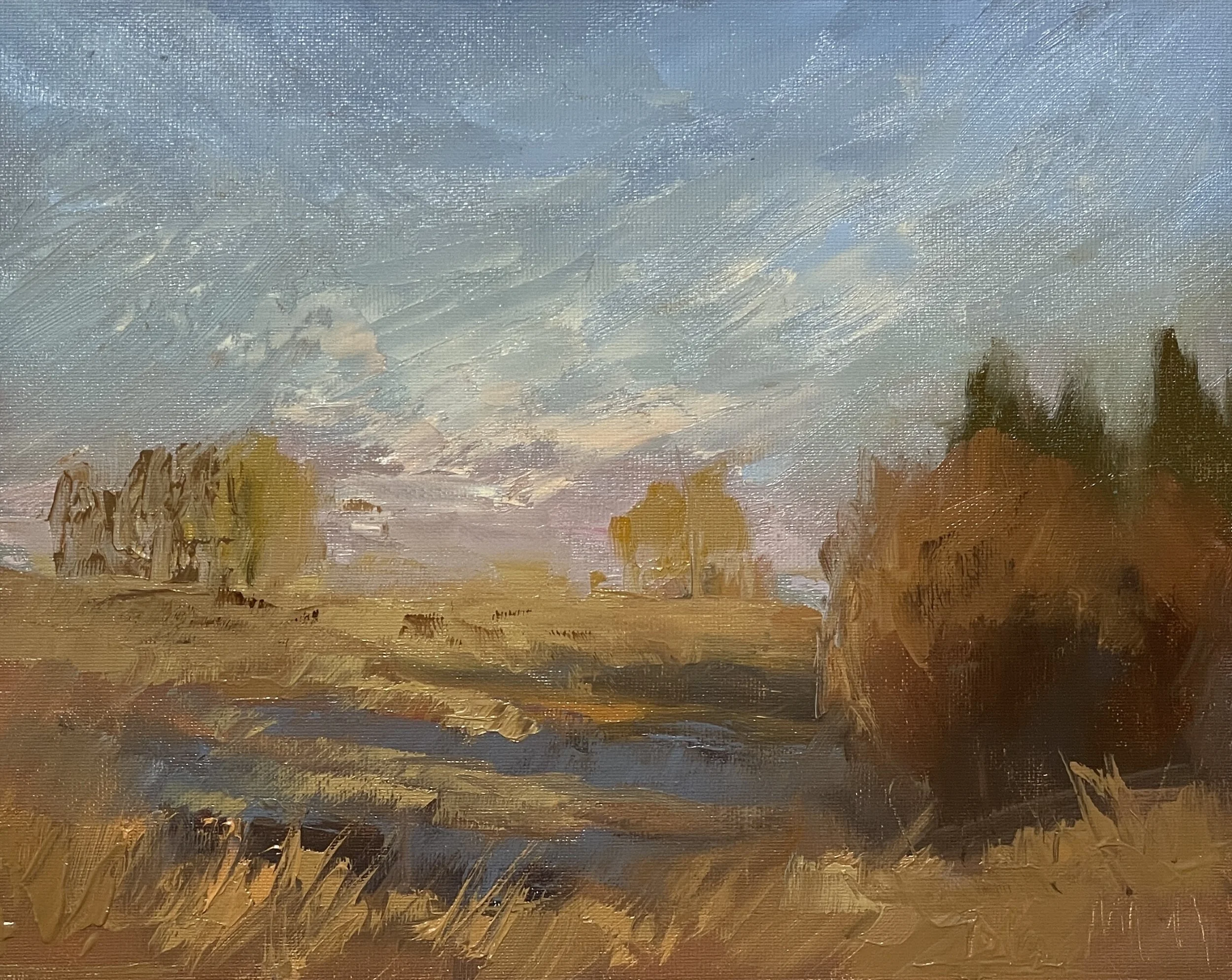 Tree Shadows-Oil-8x10 $295