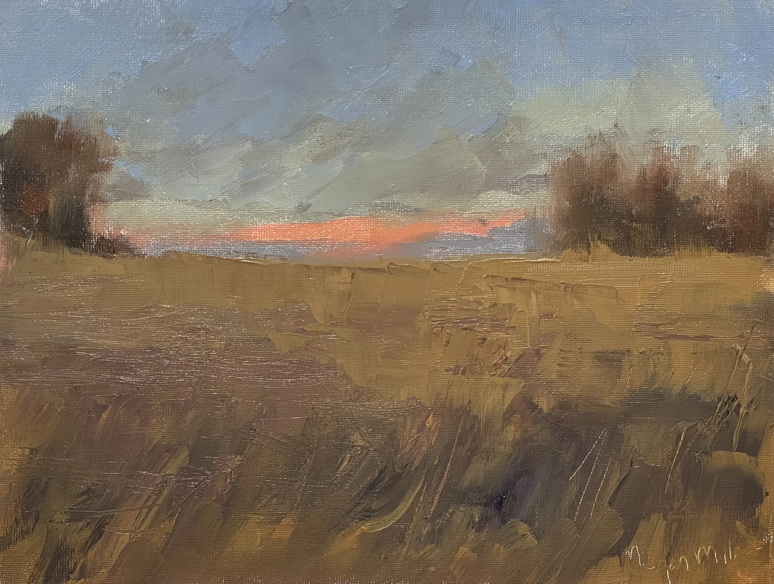 Whisper Wind-Oil 8x10 $295