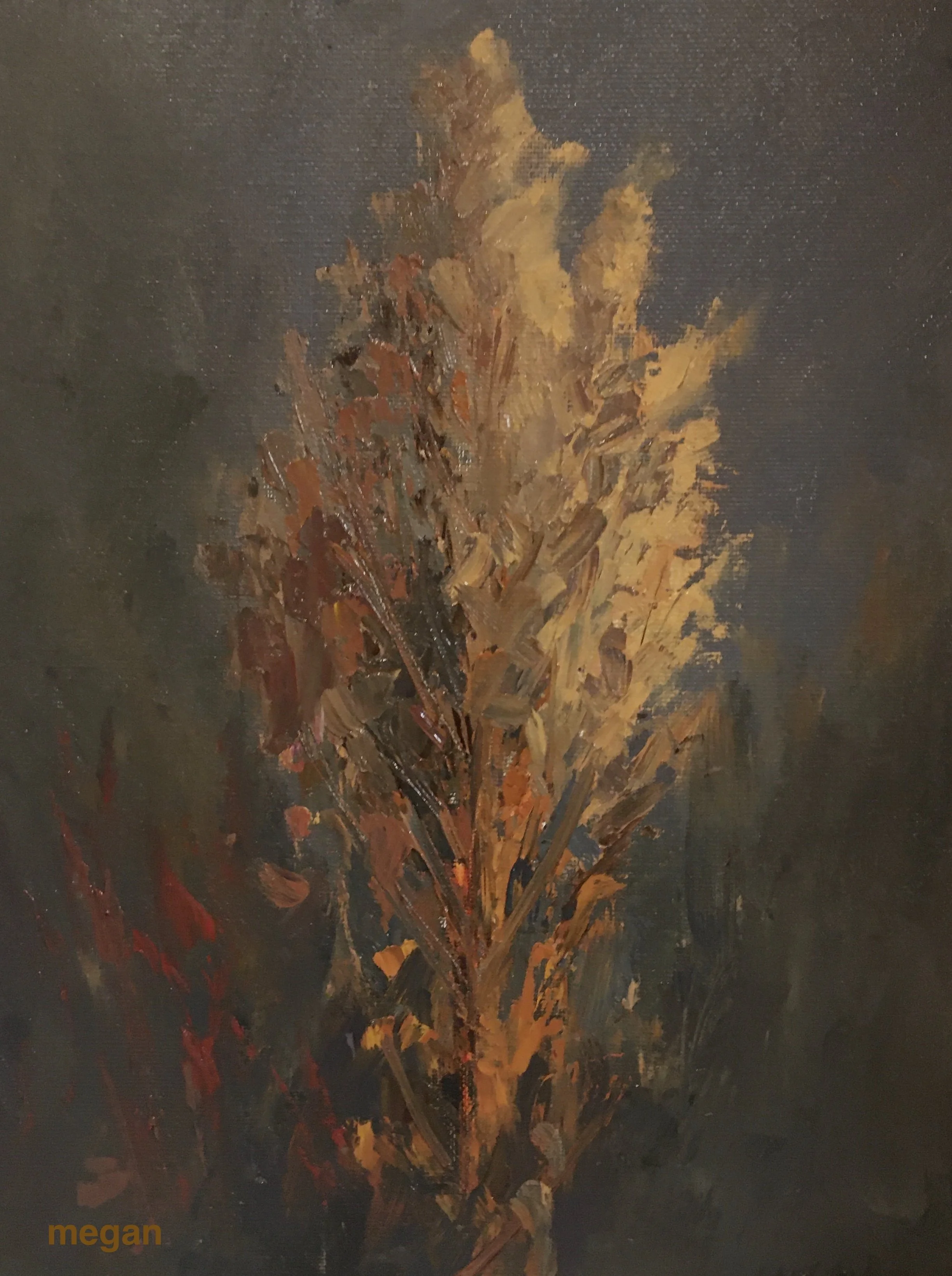 Prairie Plant-Oil 8x10 SOLD