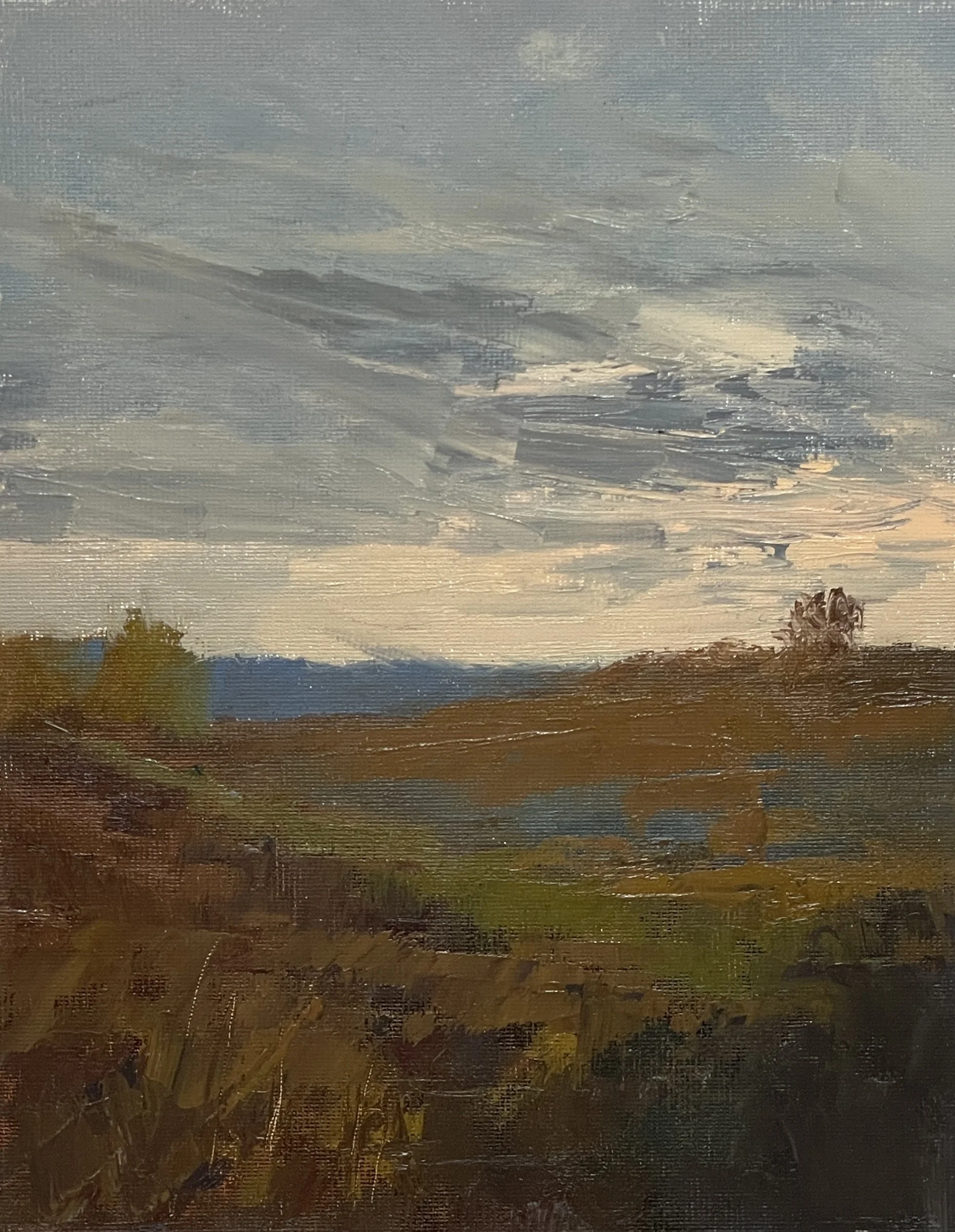 Land Lighting -Oil-6x8 $195