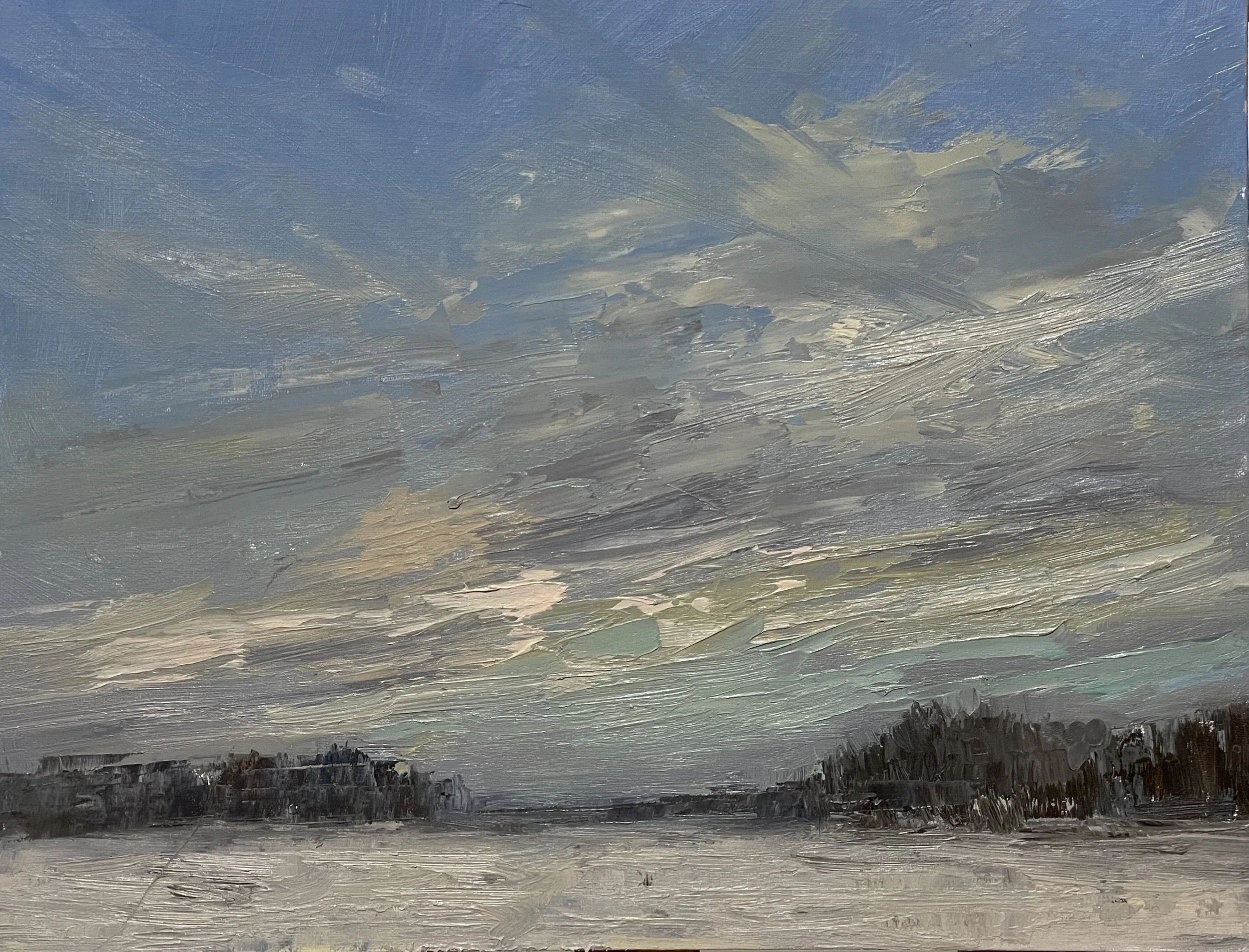 Winter Clouds-Oil-11x14 SOLD