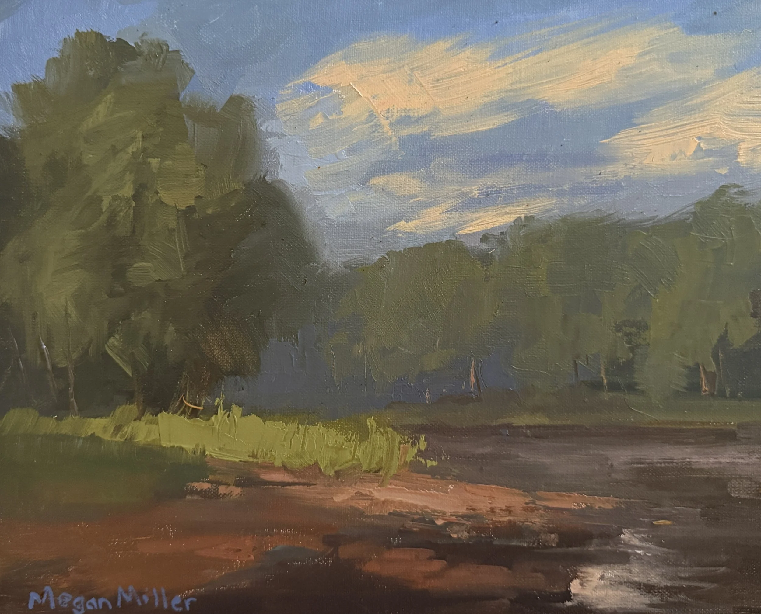 "Timeless Beauty"
8x10 Oil Original /Plein air
On linen panel
