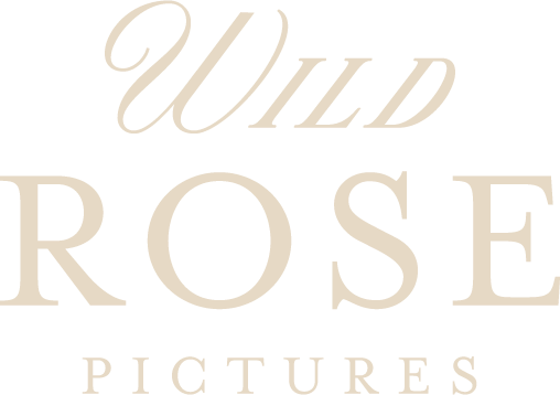 Logo for Wild Rose Pictures with stylized text