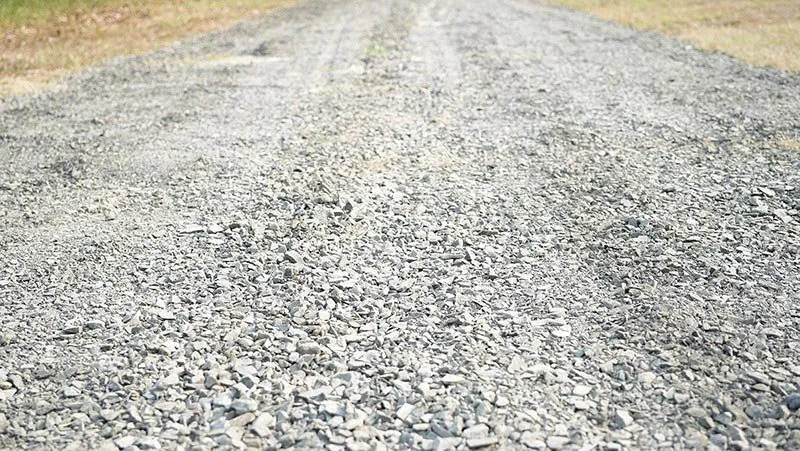 Close-up of a gravel road with small gray stones and dirt, surrounded by grass.