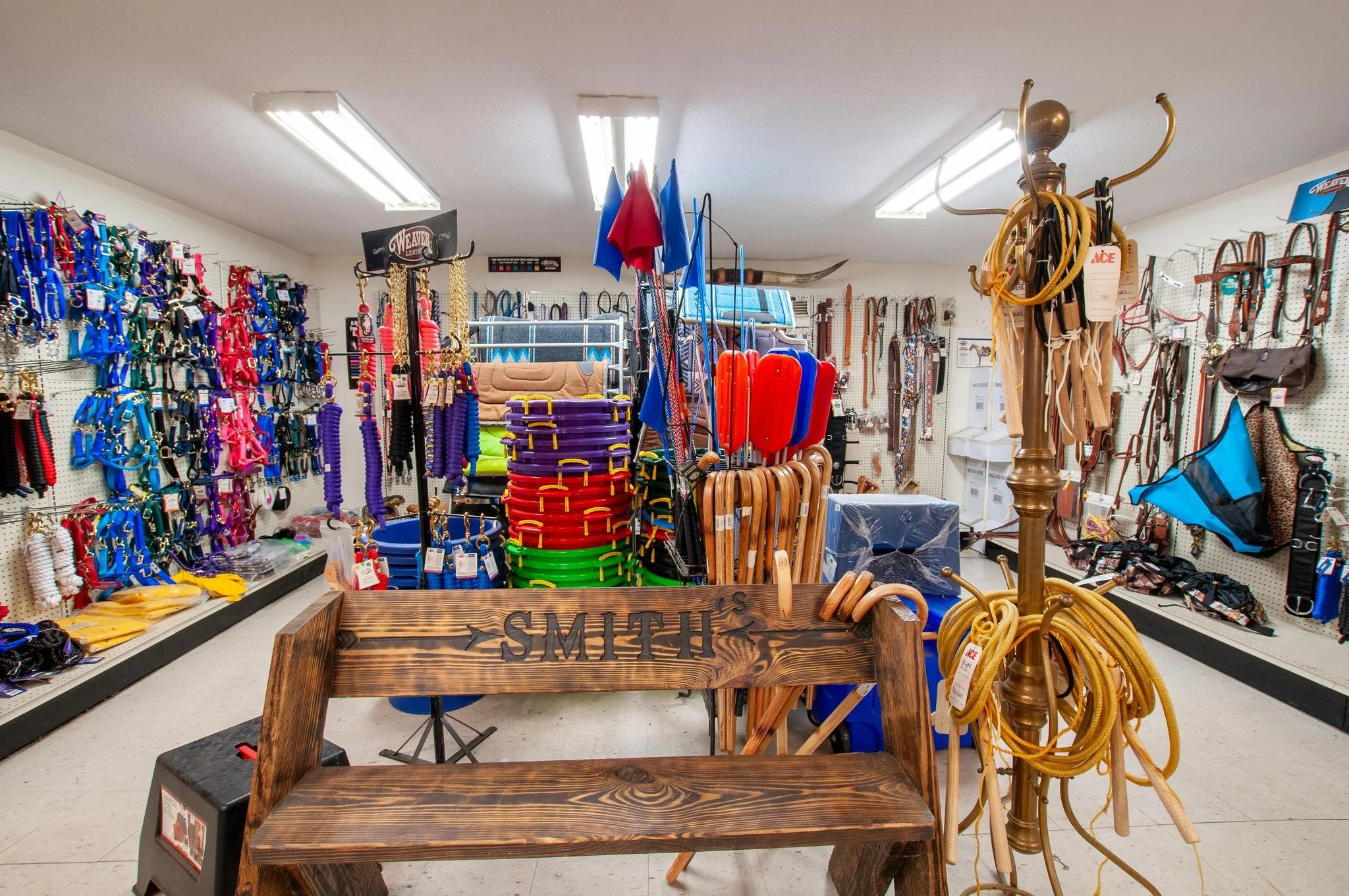 Inside a pet store or tack shop with various leashes, collars, and riding equipment displayed on shelves and hooks; wooden bench with