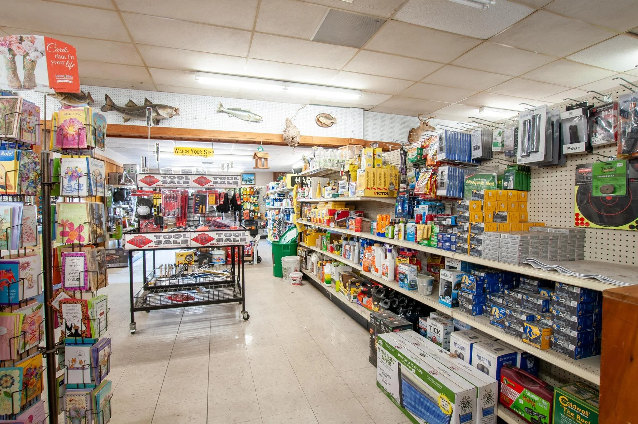 Interior of a hardware store aisle with shelves stocked with various tools, supplies, and household items, including a gift card display on the left, fish mounted on the wall, and a green trash bin in the background.
