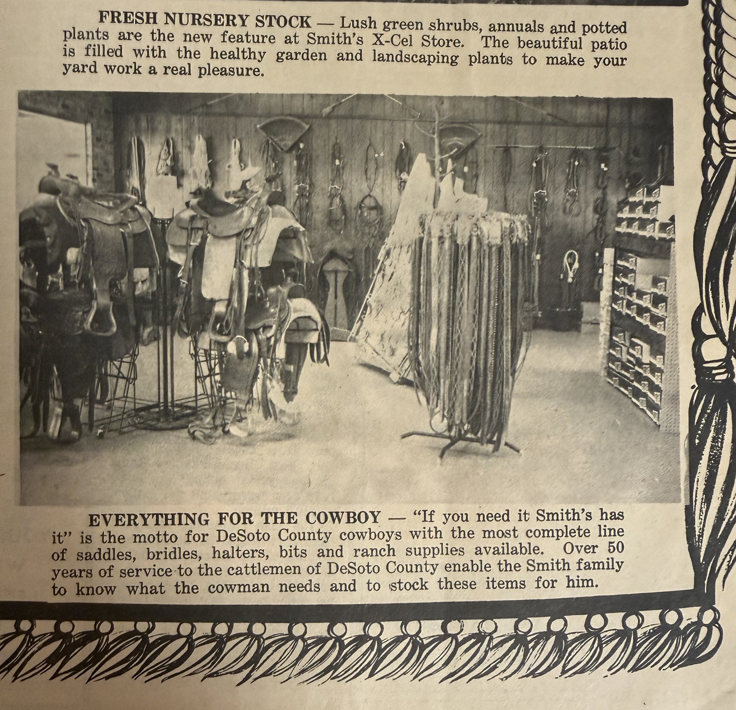 Black and white photo of a store interior displaying cowboy saddles, bridles, halters, and riding gear on racks and shelves.