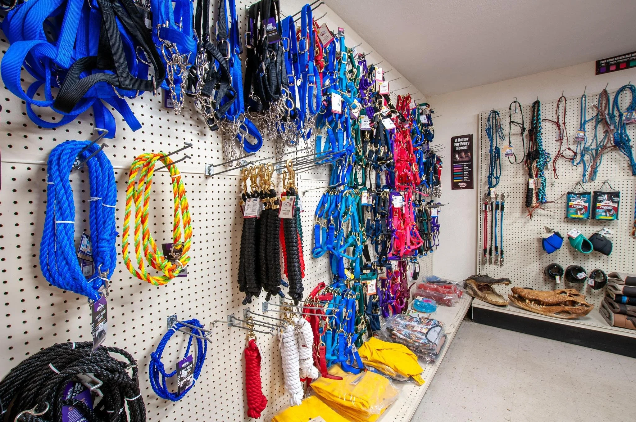 Horse tack store display with various halters, lead ropes, bridles, and accessories on pegs and shelves.