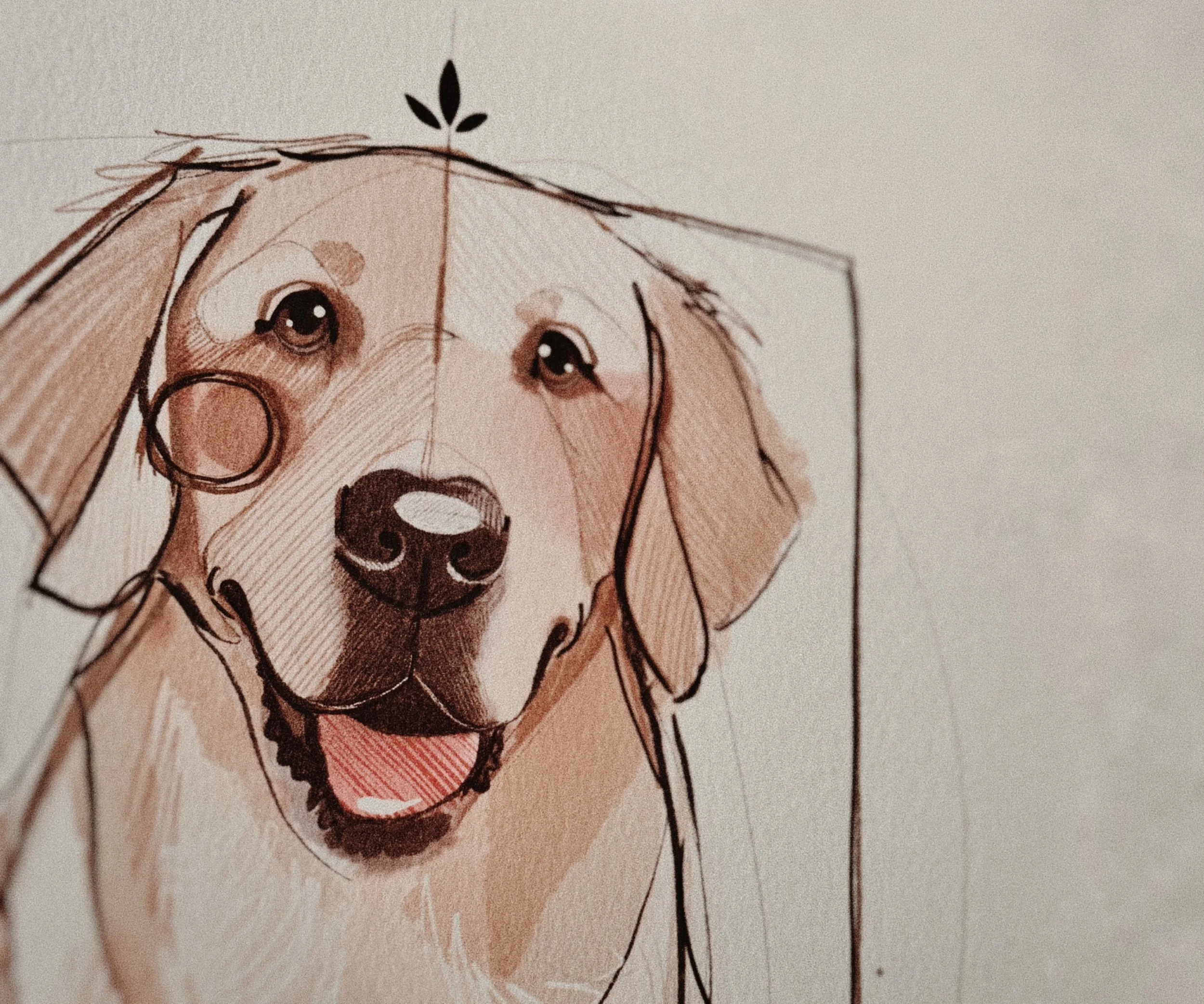 Dibujo retrato artístico  de un perro / gato hecho a mano, ilustradora Monica Sampietro Barcelona encargo