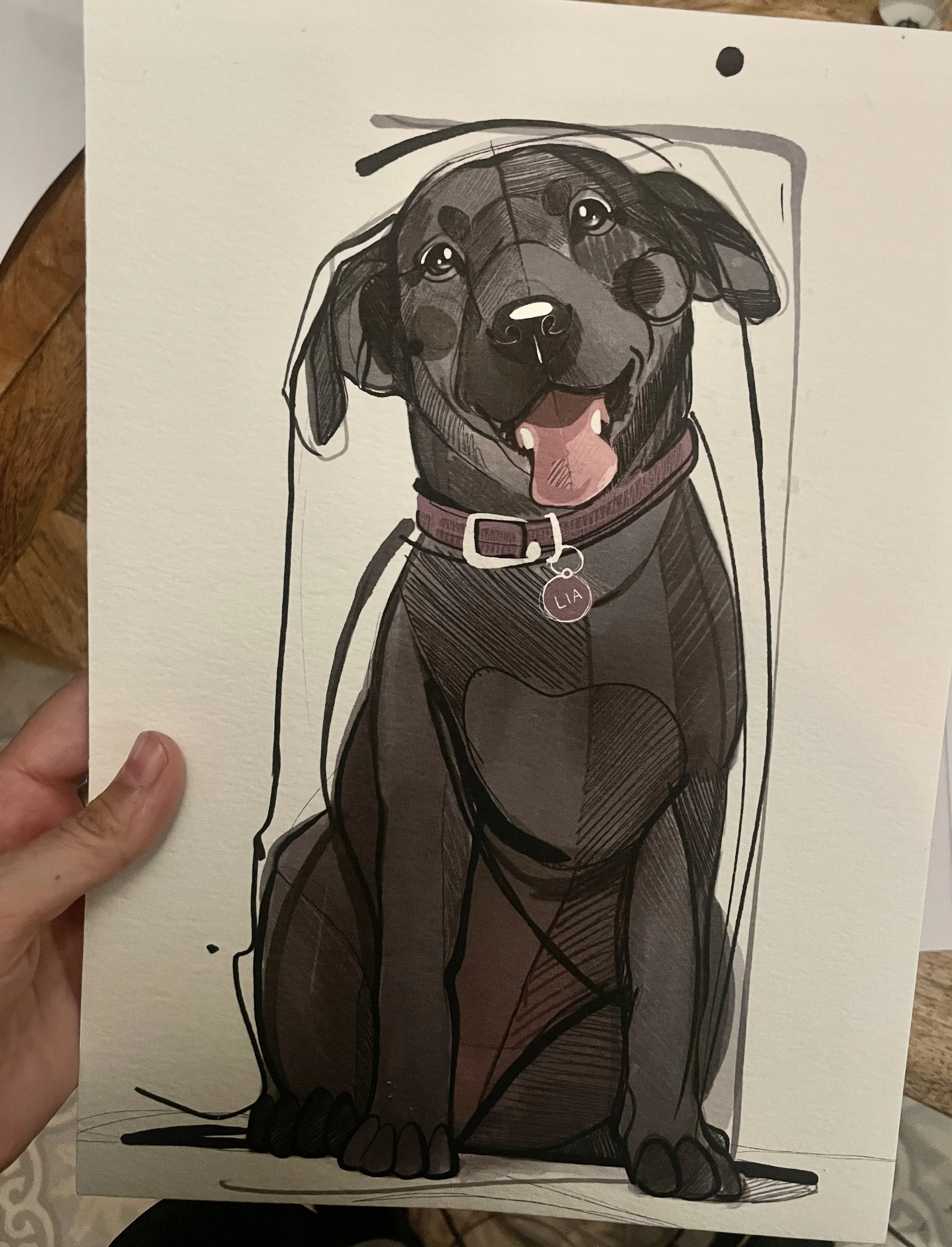 Dibujo retrato artístico  de un perro / gato hecho a mano, ilustradora Monica Sampietro Barcelona encargo