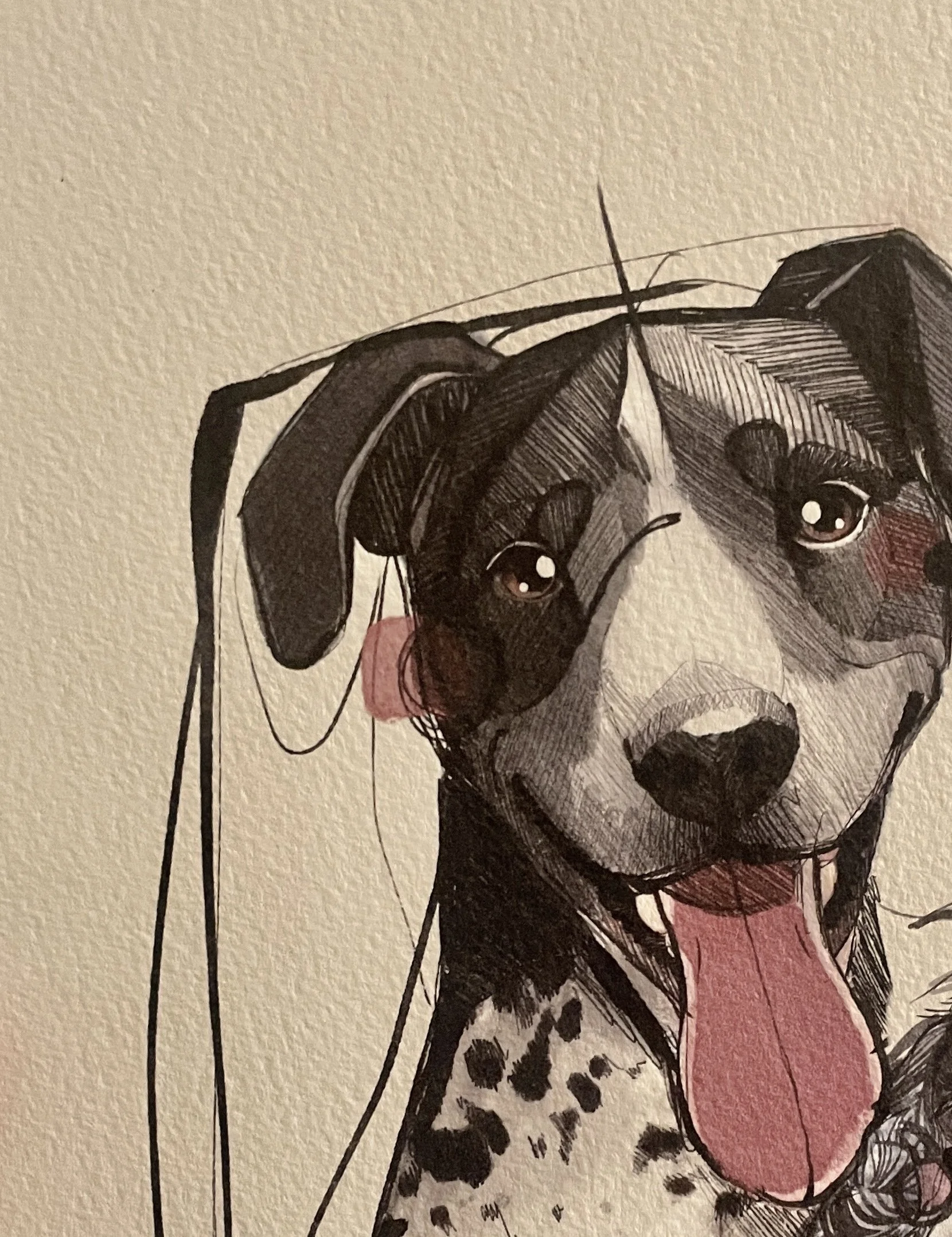 Dibujo retrato artístico  de un perro / gato hecho a mano, ilustradora Monica Sampietro Barcelona encargo