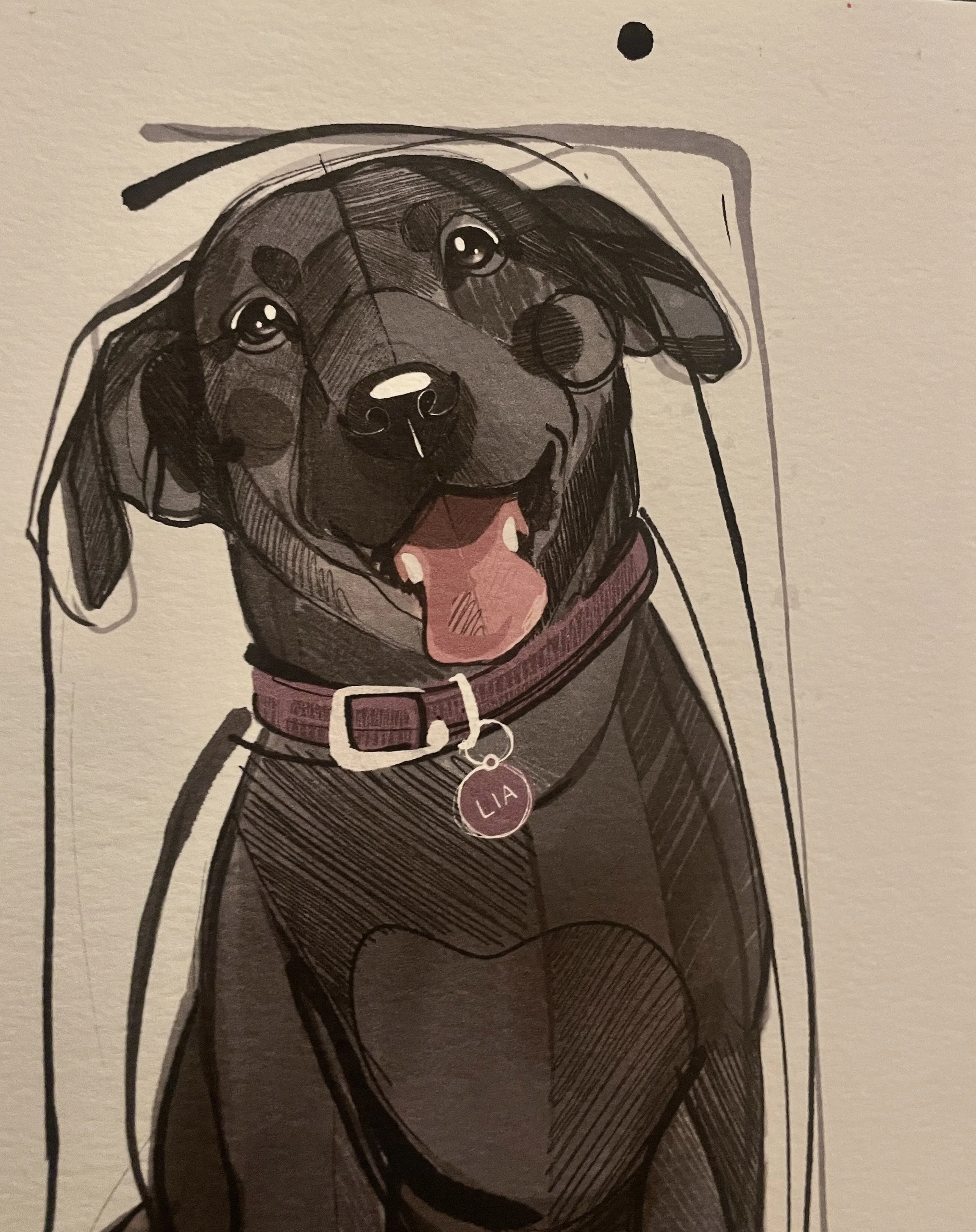 Dibujo retrato artístico  de un perro / gato hecho a mano, ilustradora Monica Sampietro Barcelona encargo