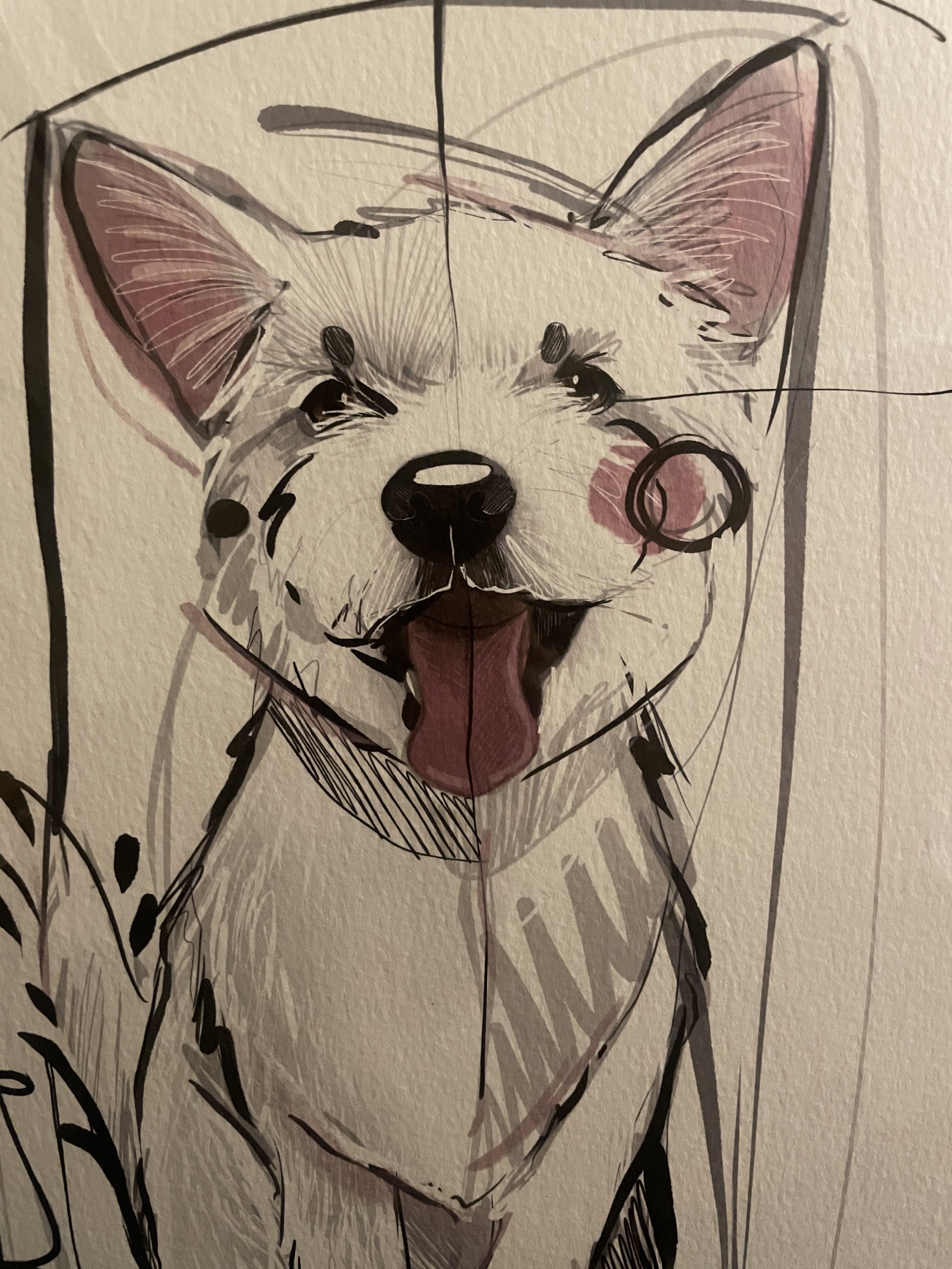 Dibujo de un perro feliz con lengua afuera y una mejilla sonrojada, en estilo artístico con líneas negras y detalles en color rosa.
Dibujo retrato artístico  de un perro / gato hecho a mano, ilustradora Monica Sampietro Barcelona encargo