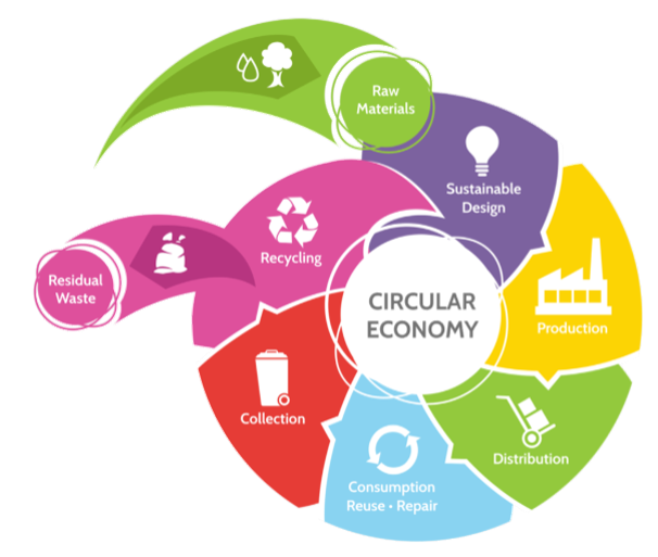 A circular graphic depicts a circular economy where raw materials are the only input & minimal waste is the only output. Remaining materials cycle through sustainable design, production, distribution, consumption/reuse/repair, collection, & recycling