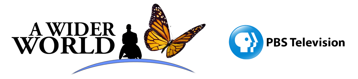 A Wider World