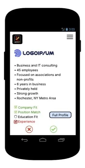 Levii.io Company Summary on Mobile