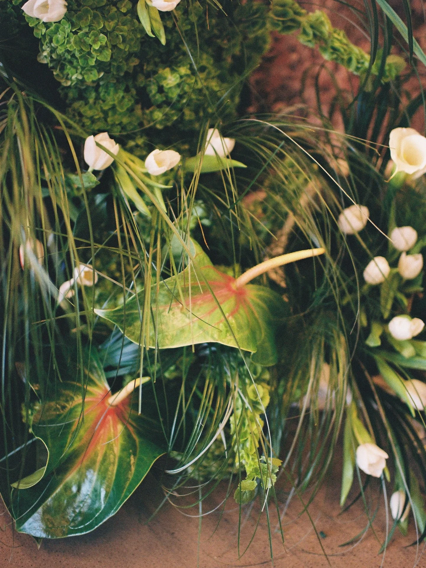 Florals on Film 📸💐

Photography | @by_courtneypaige 
Florals | @tiptonhurst 
Bar Sign | @accentsbyovation 
Venue | The Eddy at the @thecomptonhotel 

#weddingplanners #weddingflorist #nwaweddings