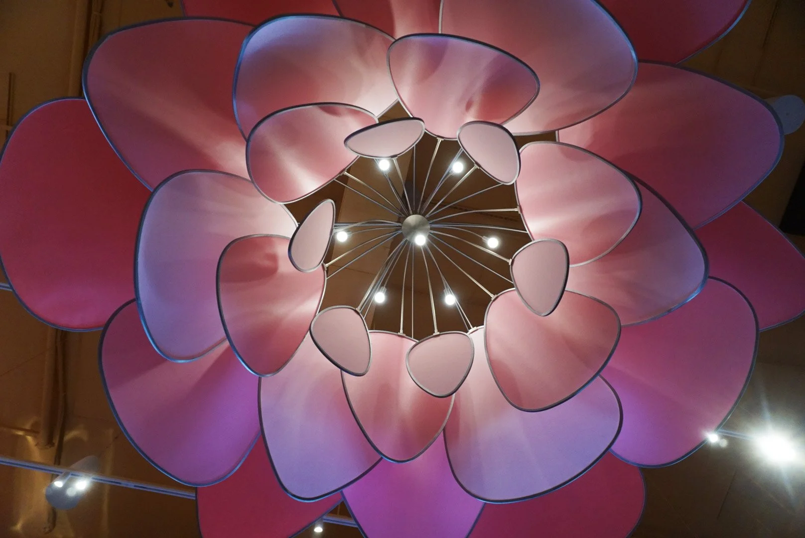 A pink and purple floral chandelier with petal-shaped light covers hanging from a ceiling.