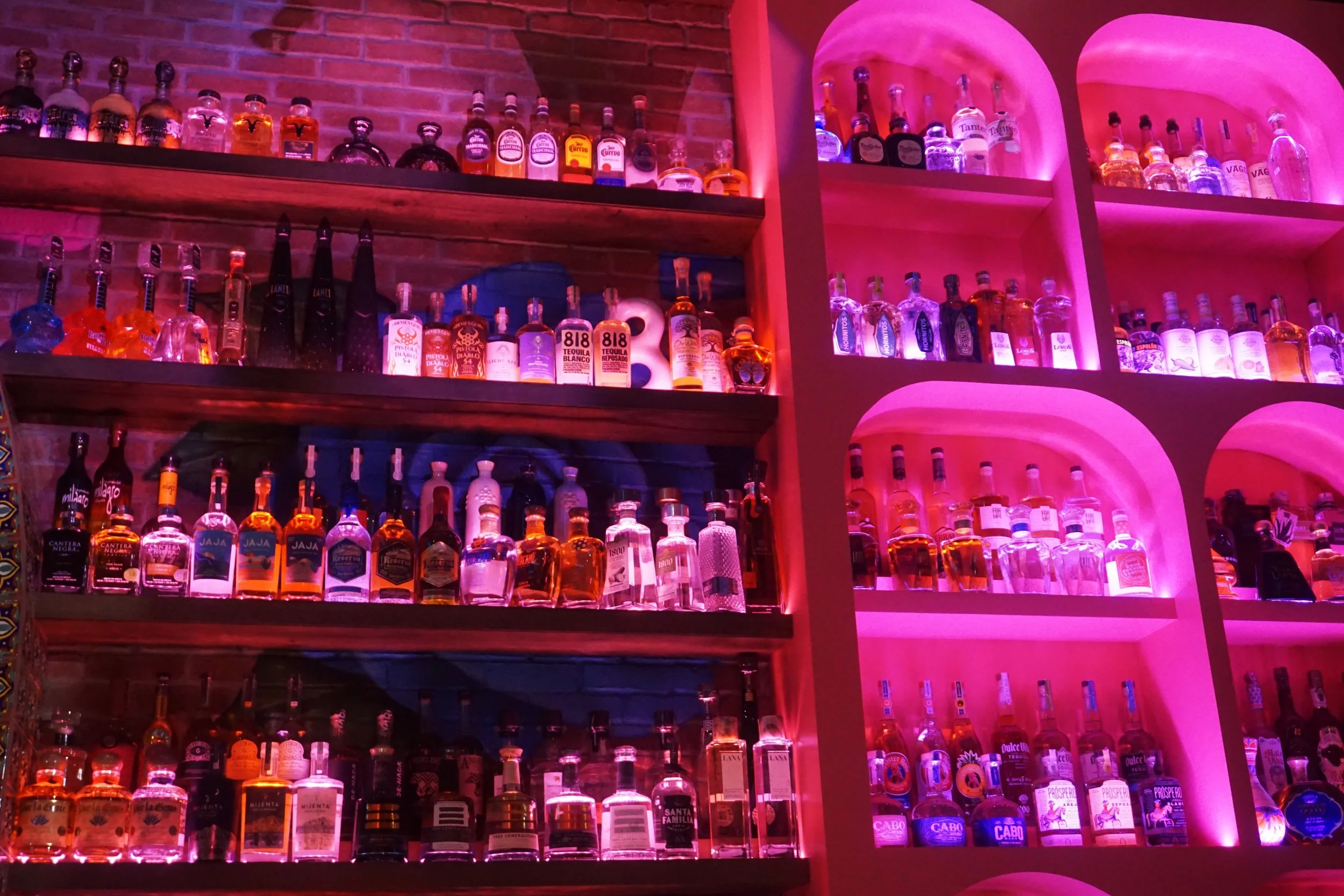 Shelves filled with various colorful bottles of tequila lit by pink and purple lighting in a bar.