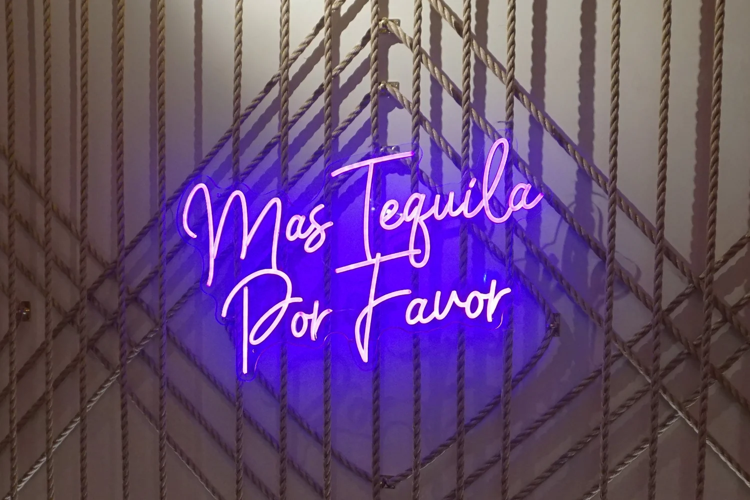 Neon sign in the Rose Room, Metuchen