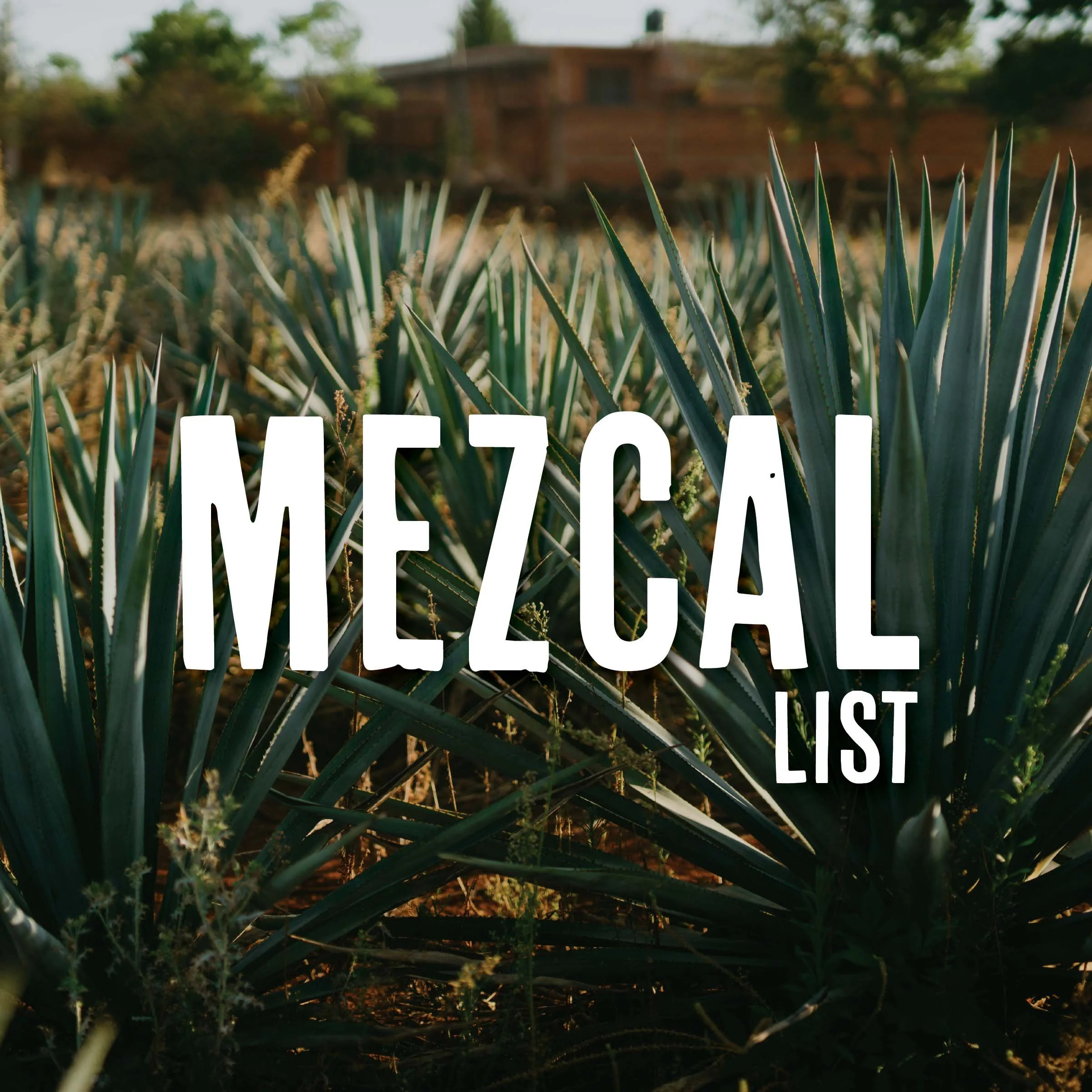 Rare & smoky agave expressions.