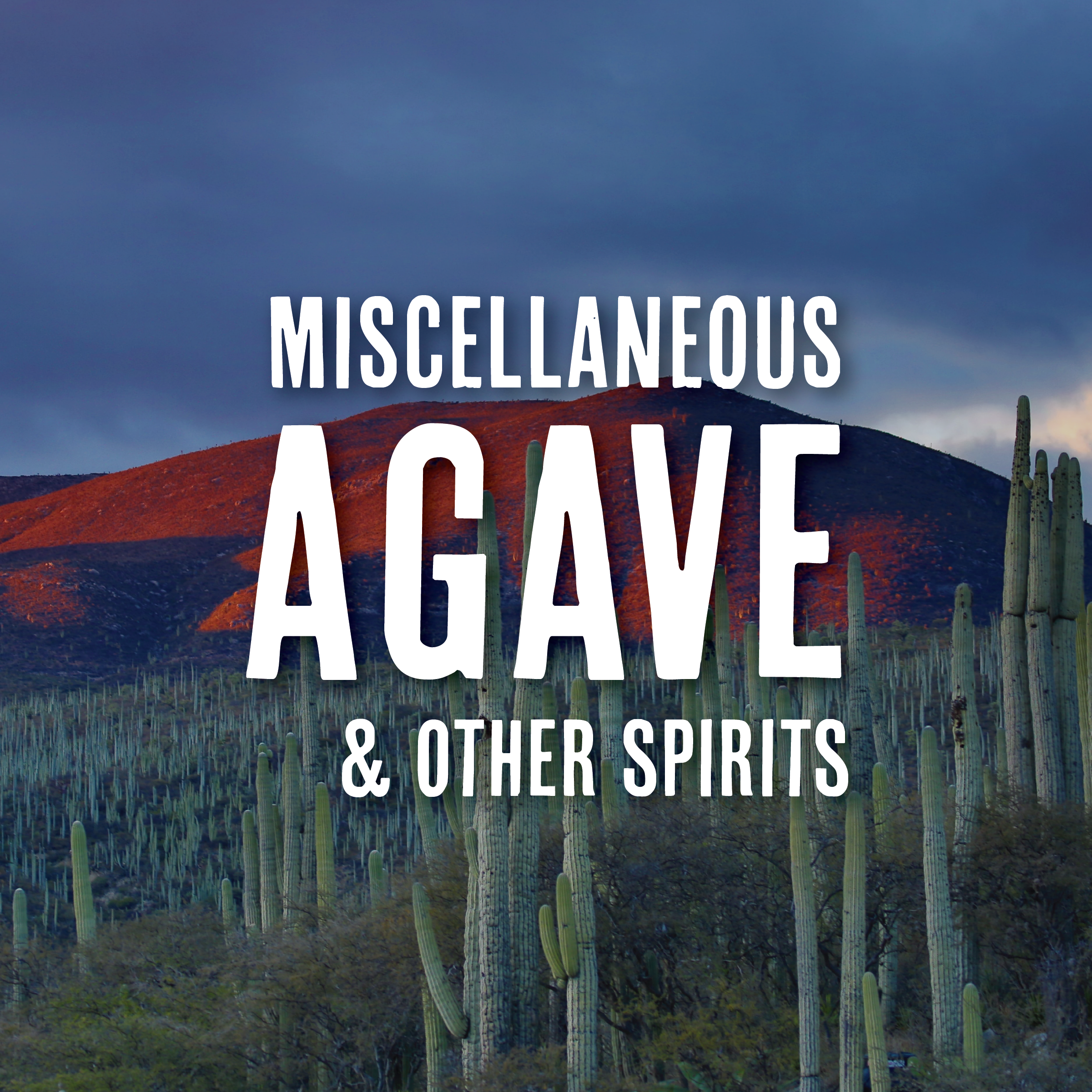 Beyond tequila & mezcal.