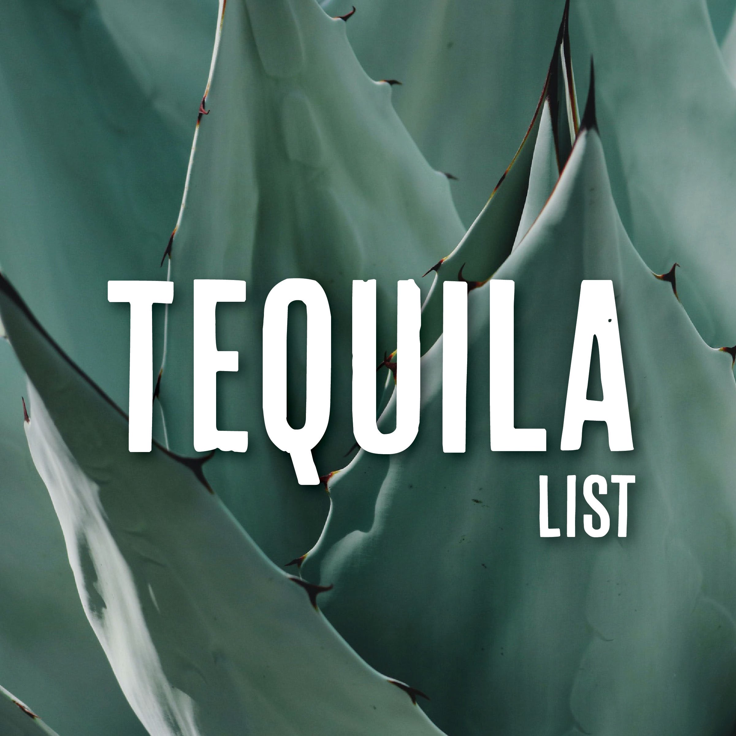 Explore our tequila collection.